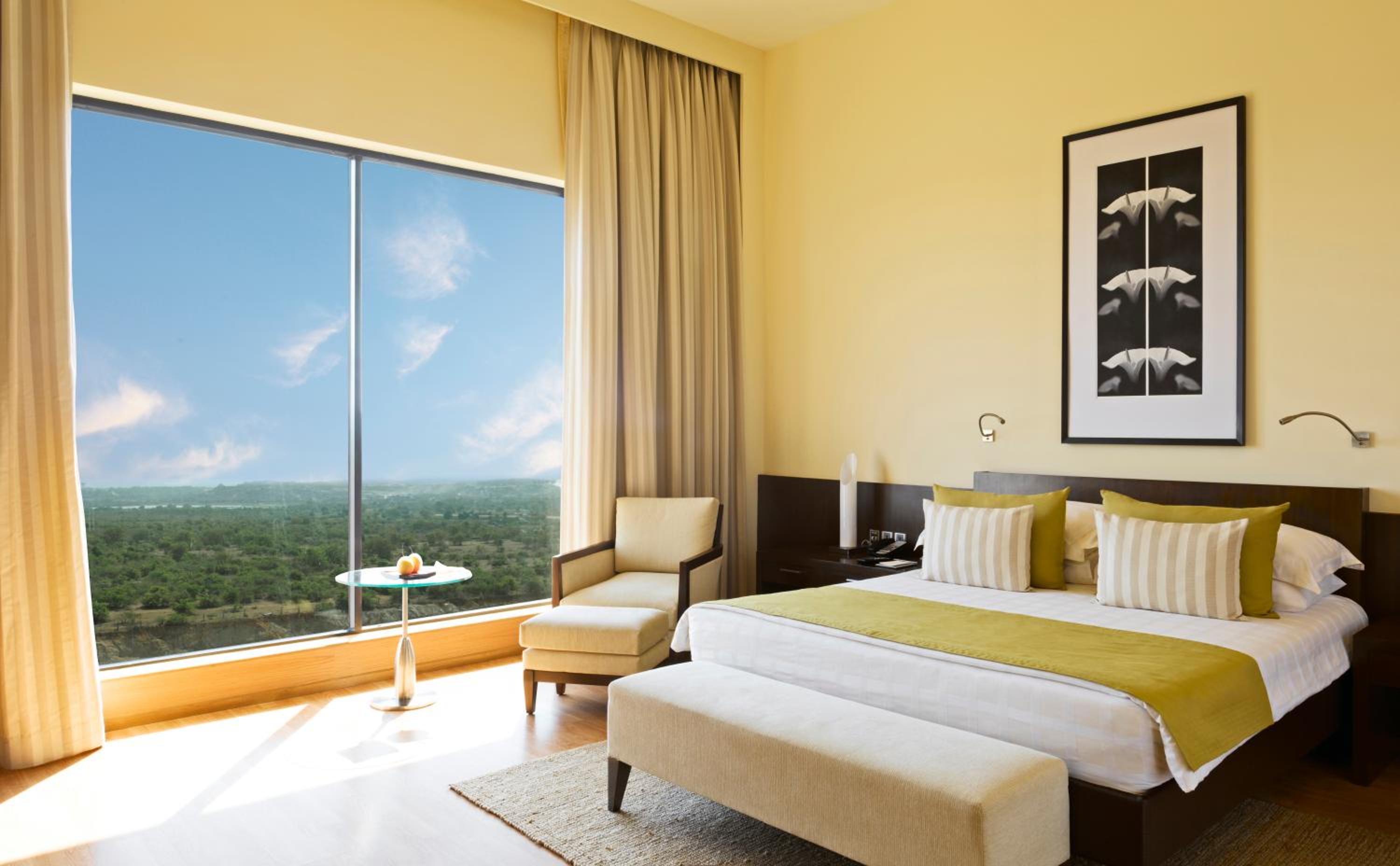 Executive Room - Photo 1