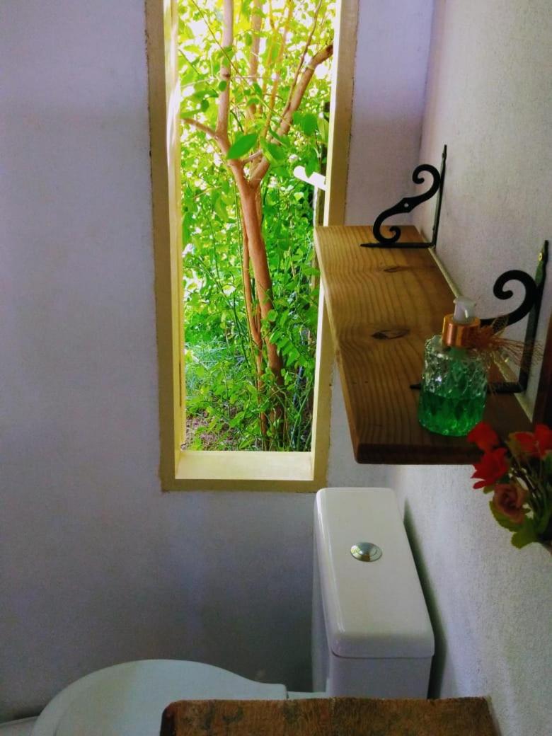 Deluxe Bungalow with Garden View photo 2