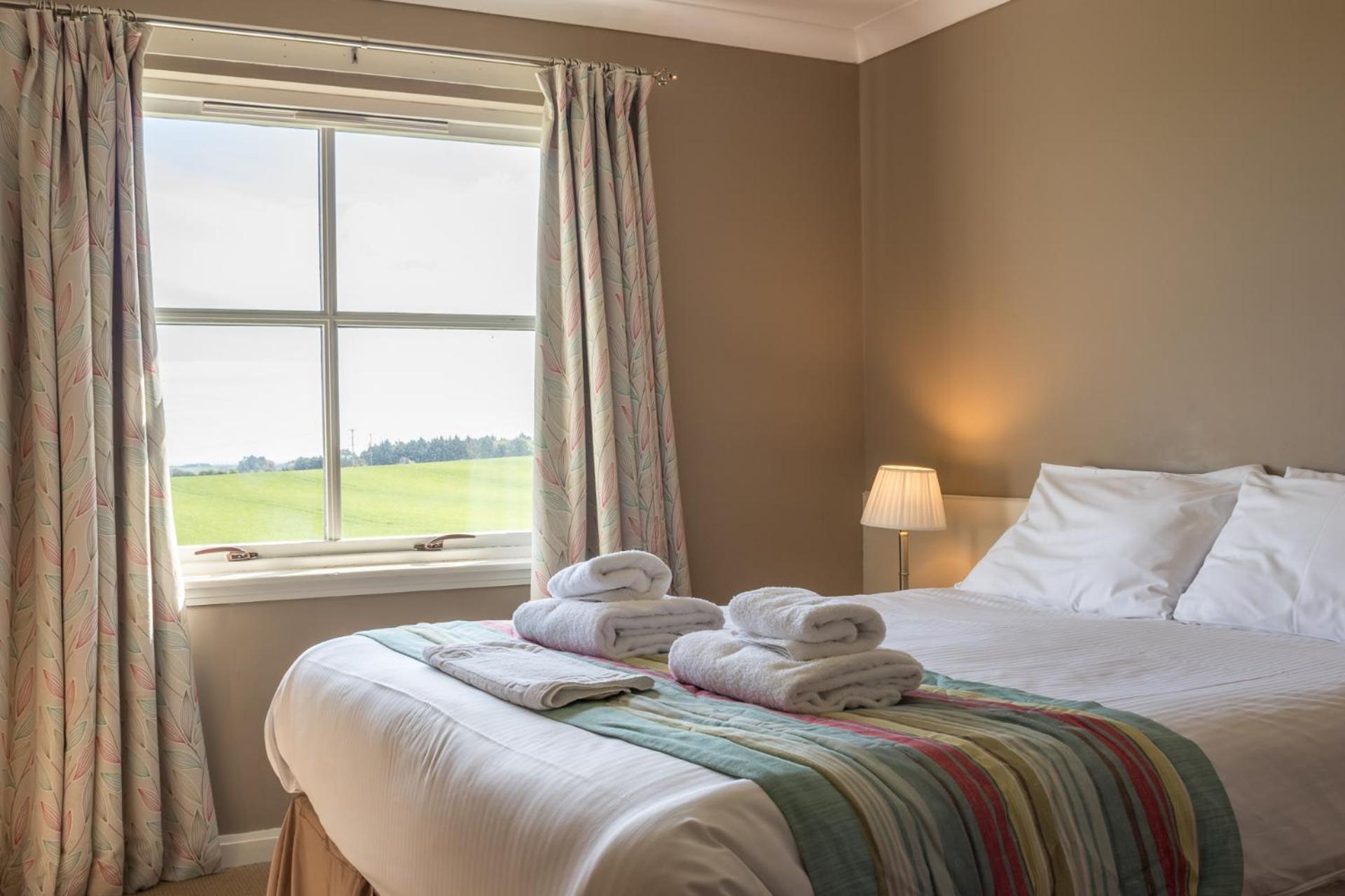 King Room photo 1