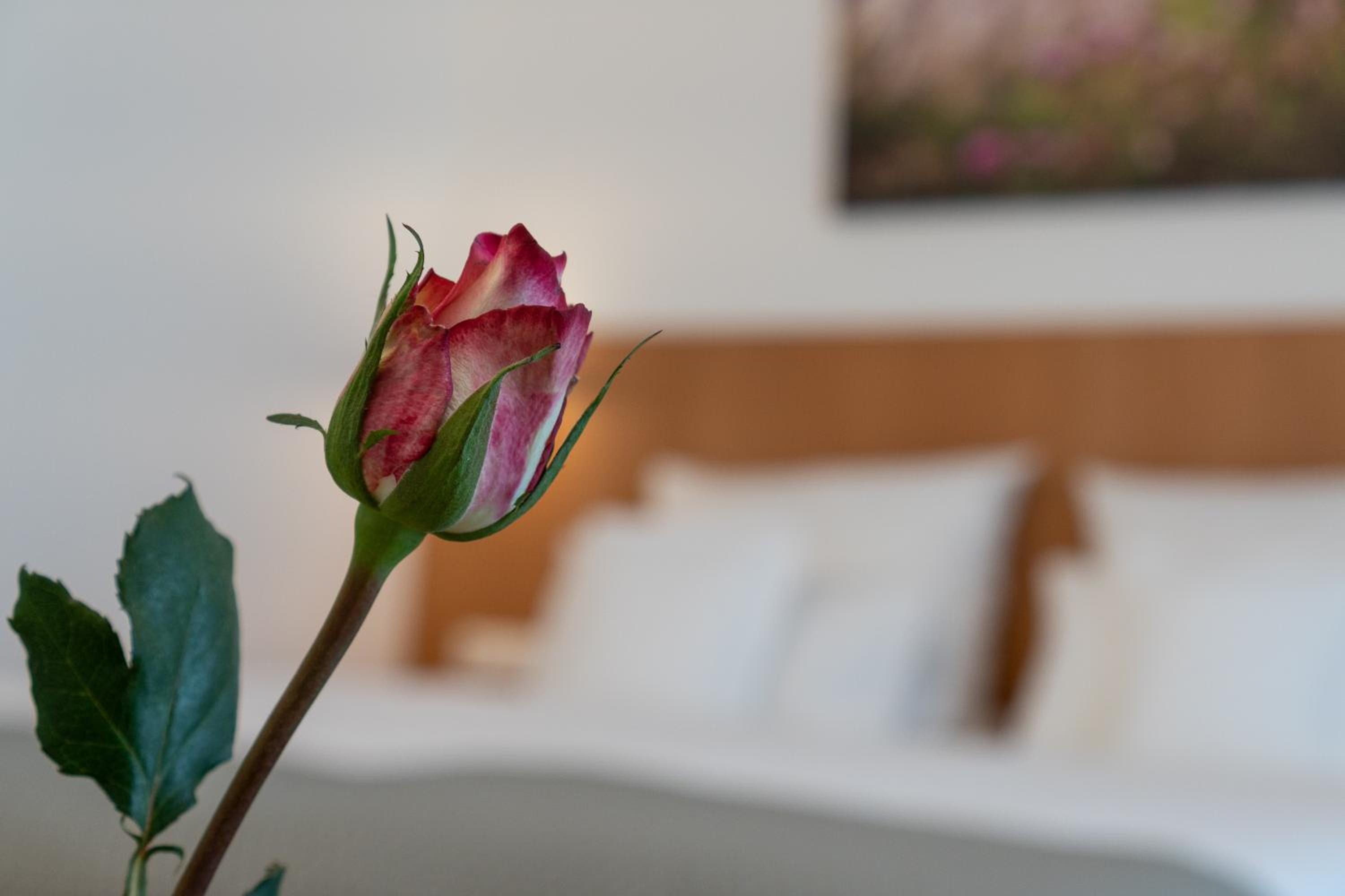 Superior Double Room - Photo 6