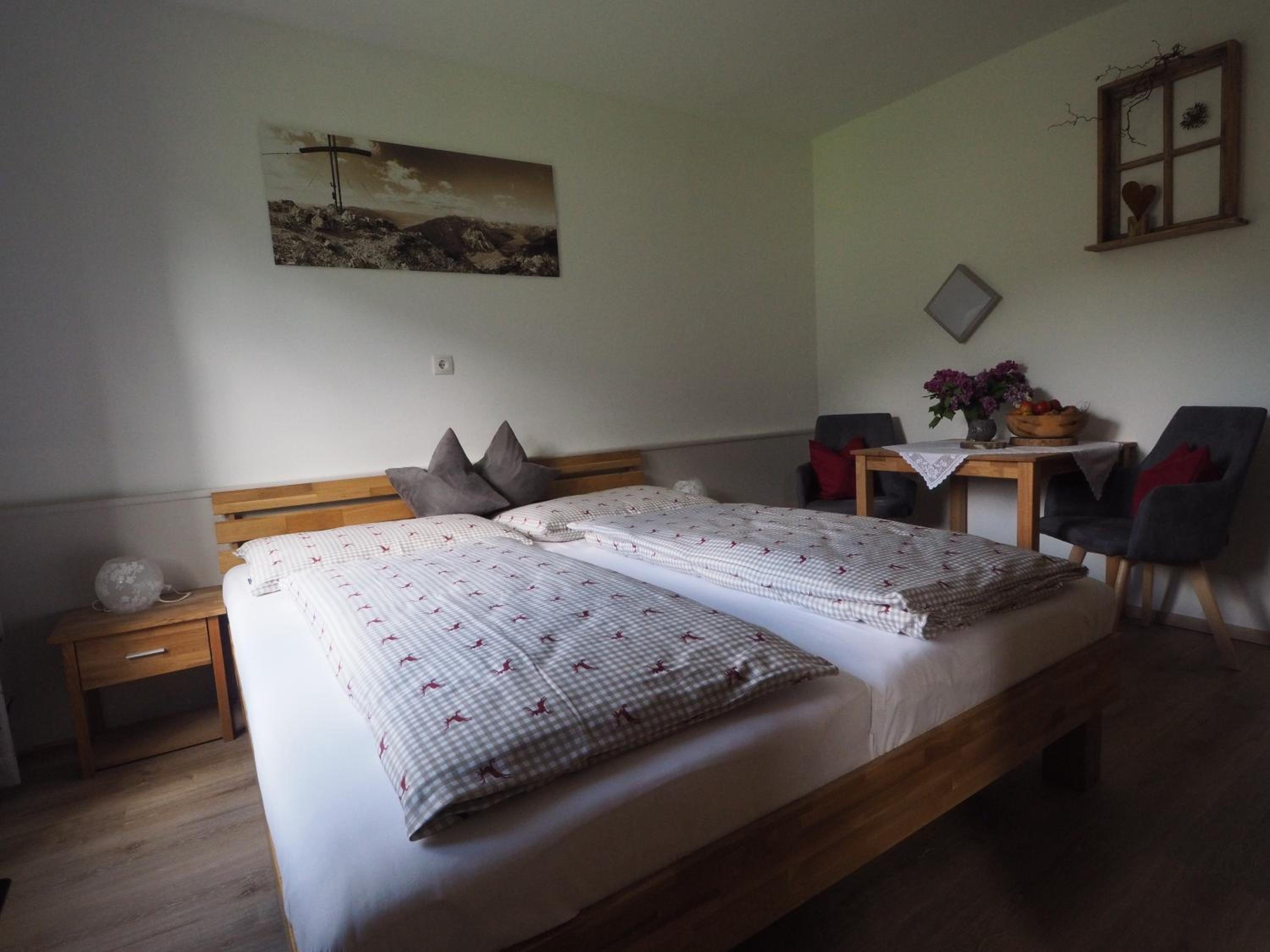 Double Room with Mountain View photo 1