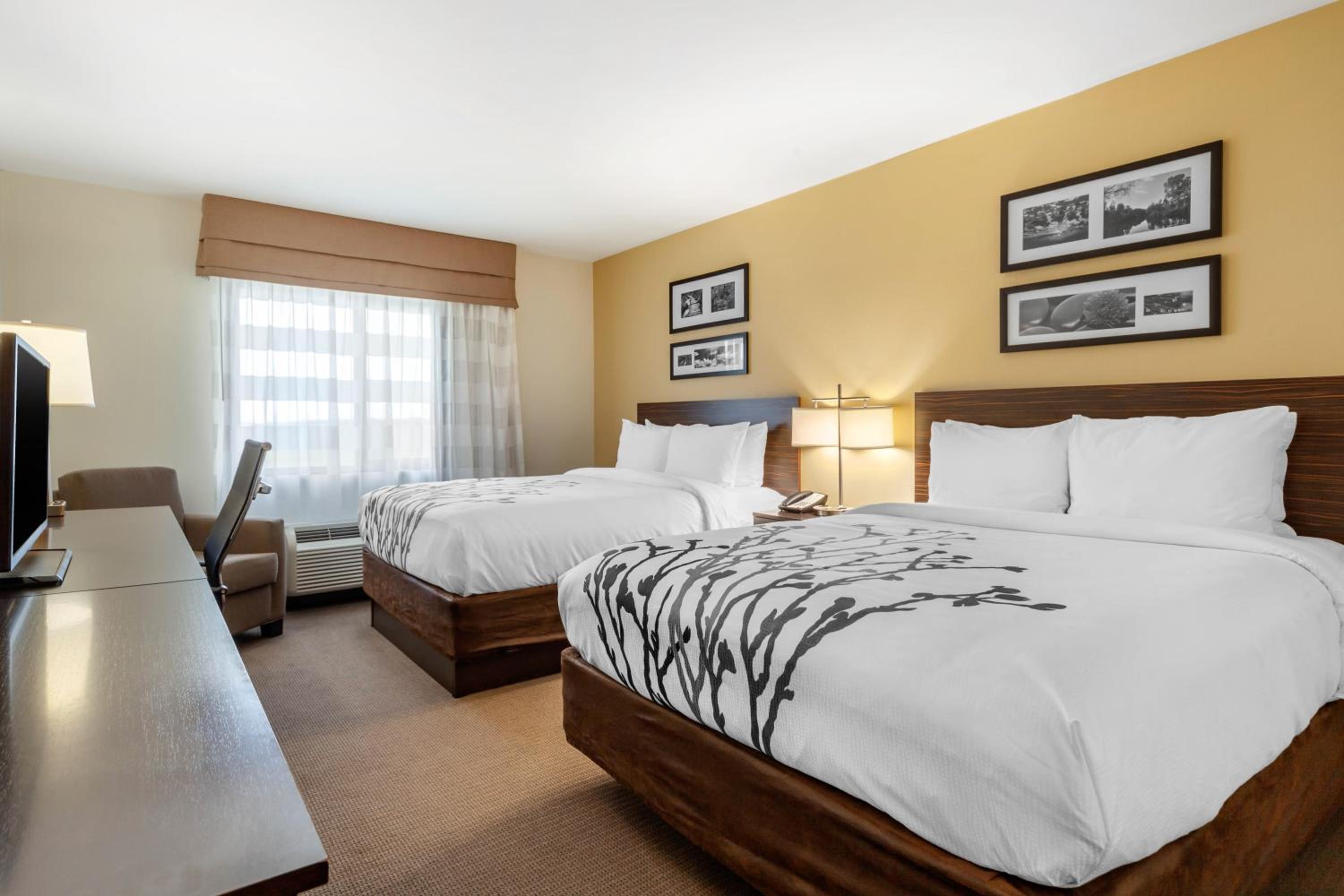 Queen Room with Two Queen Beds - Non-Smoking photo 1