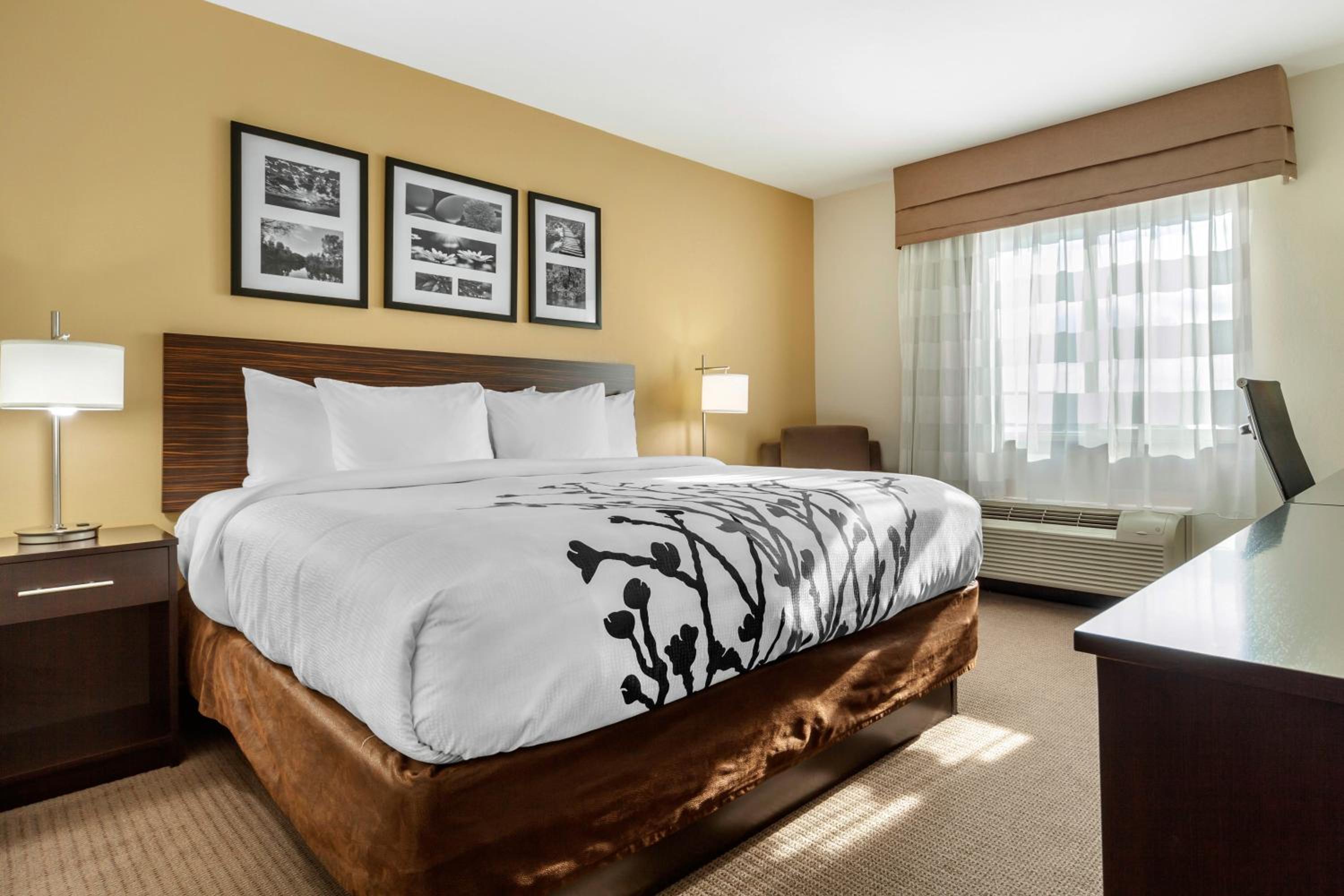 King Room - Accessible/Non-Smoking photo 3