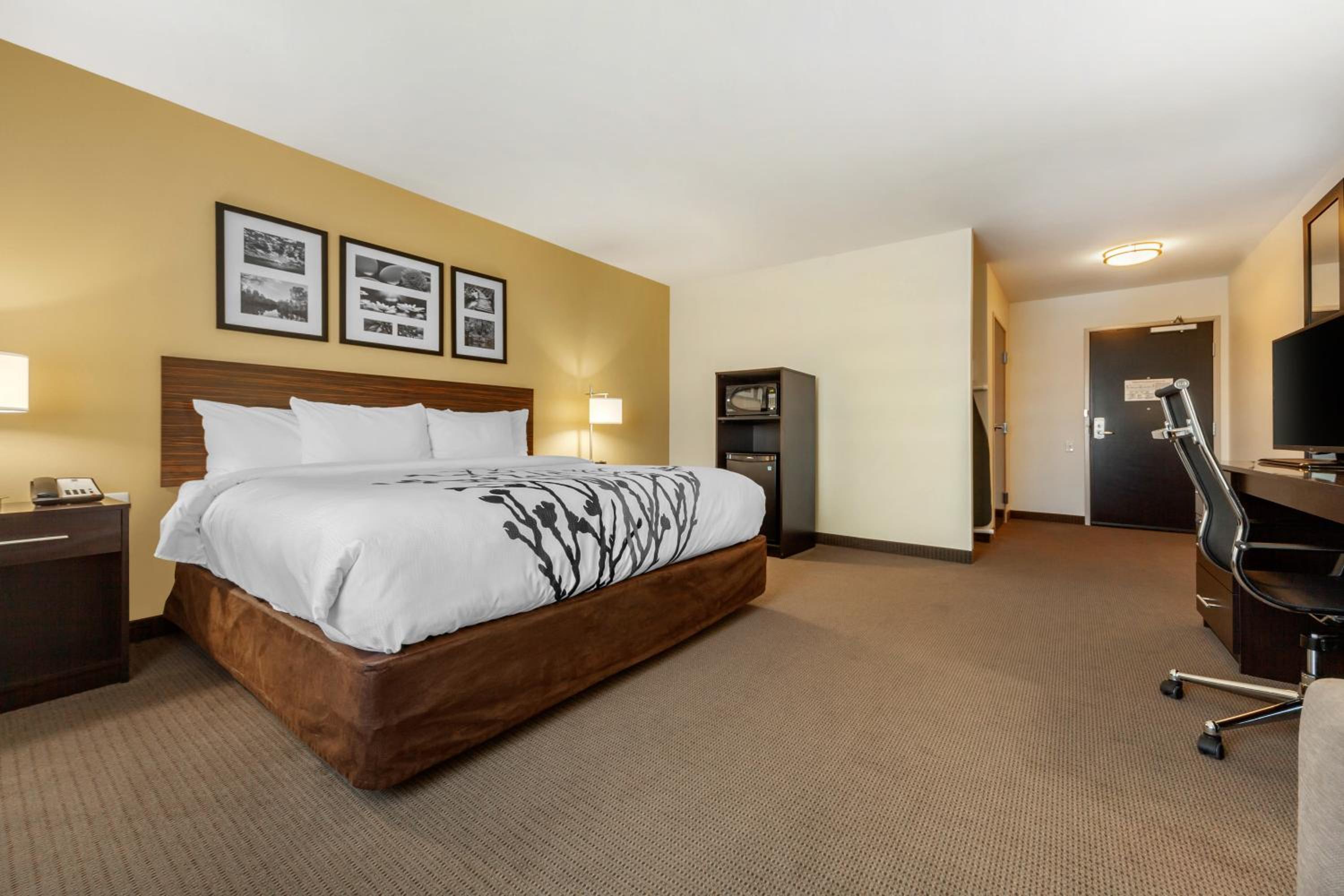 King Suite - Accessible/Non-Smoking photo 1
