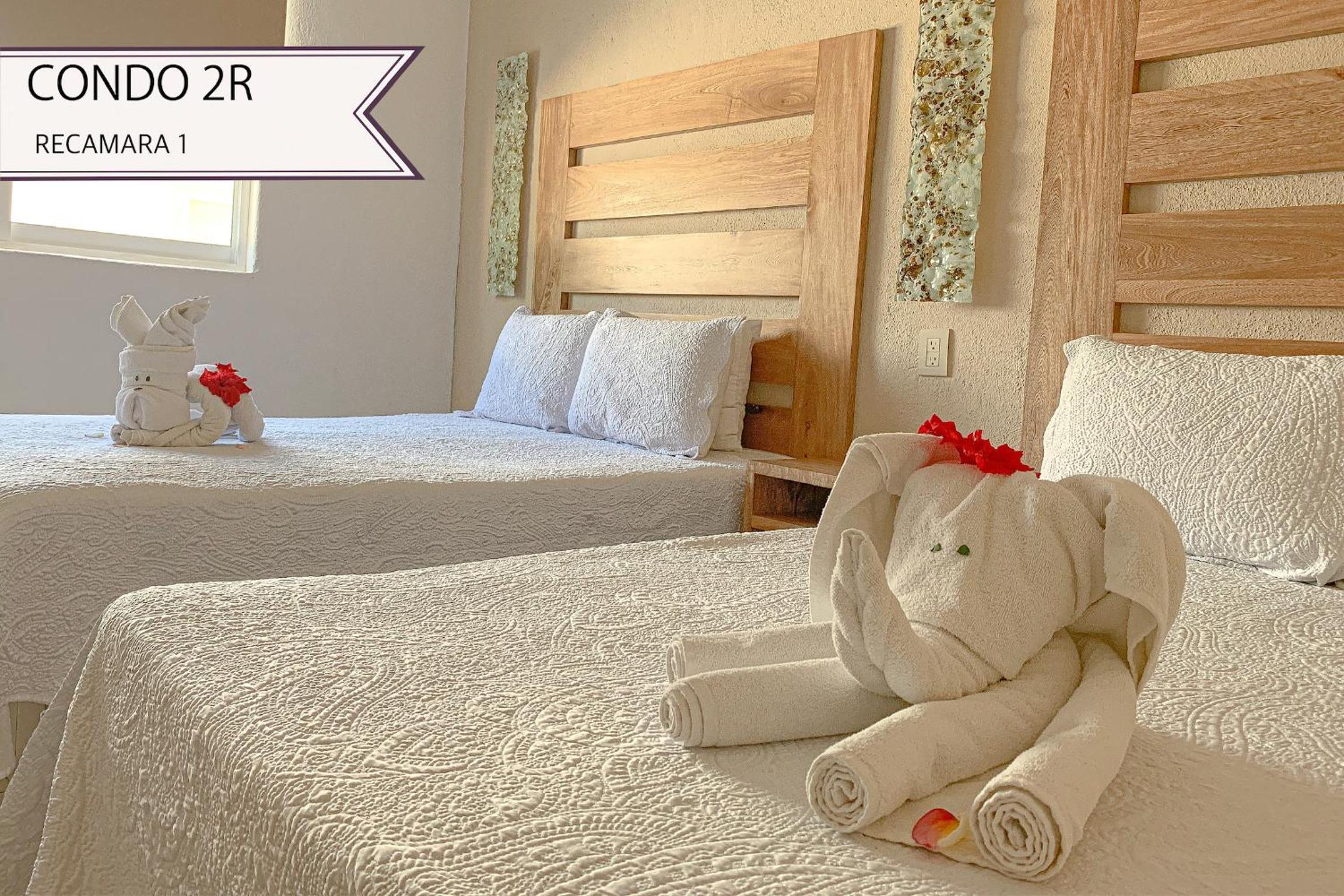 Zwei-Zimmer-Apartment