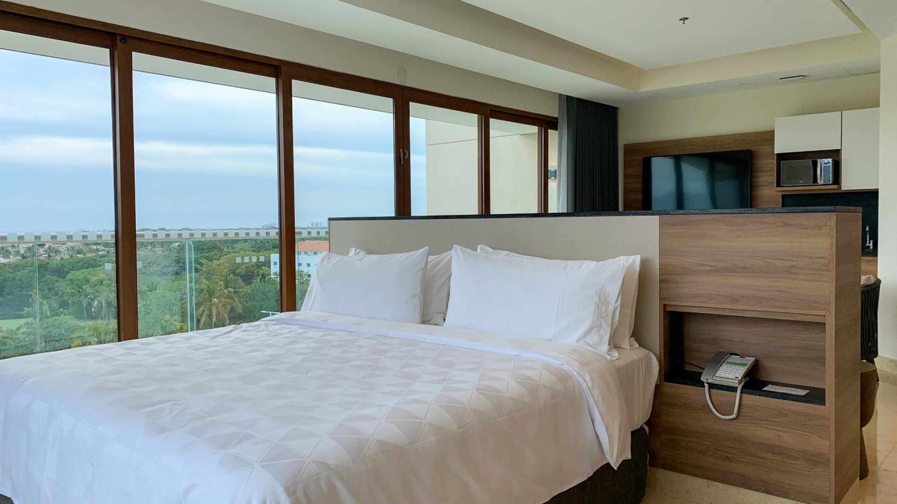 King Suite with Mountain View - Photo 5