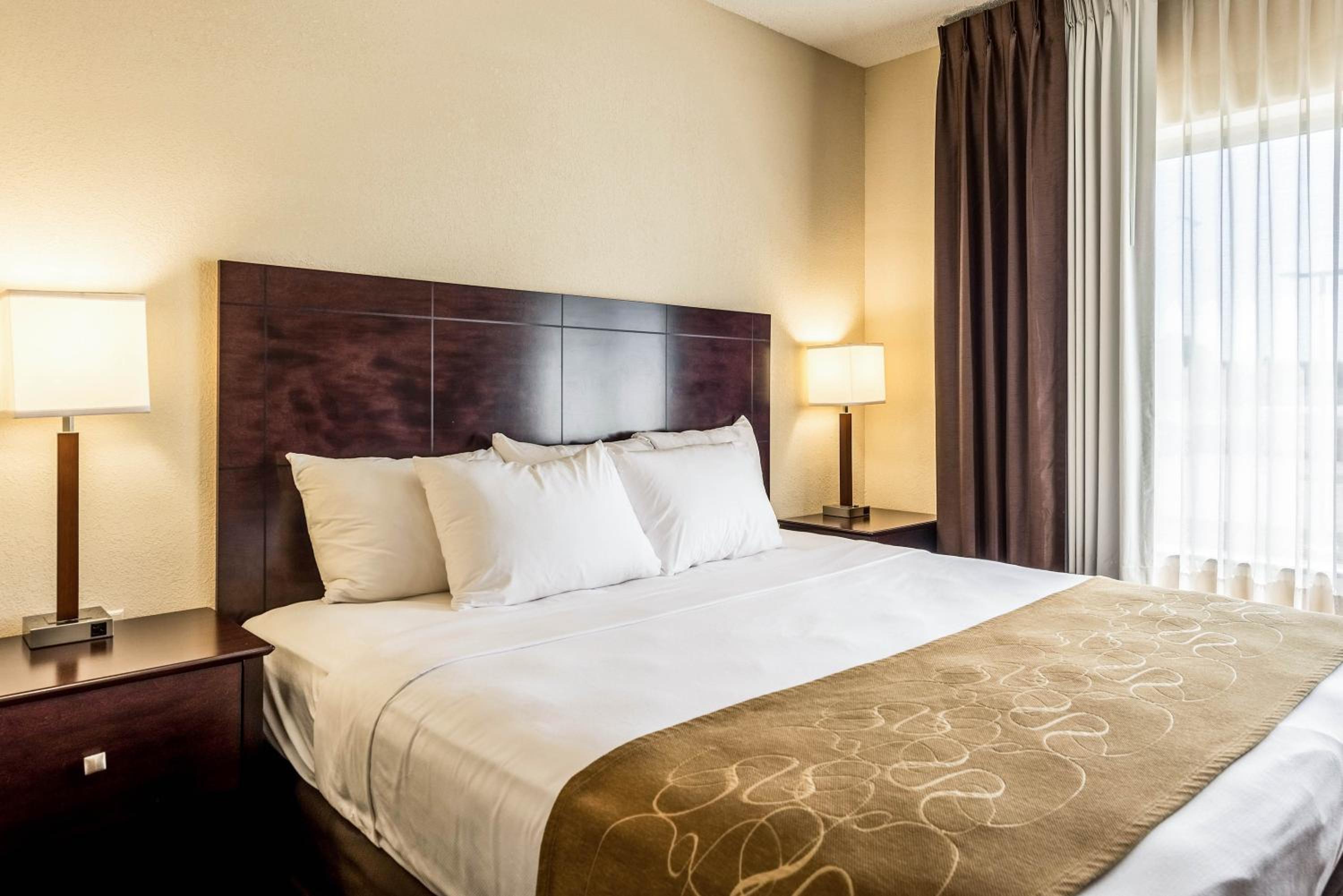 King Suite - Photo 6