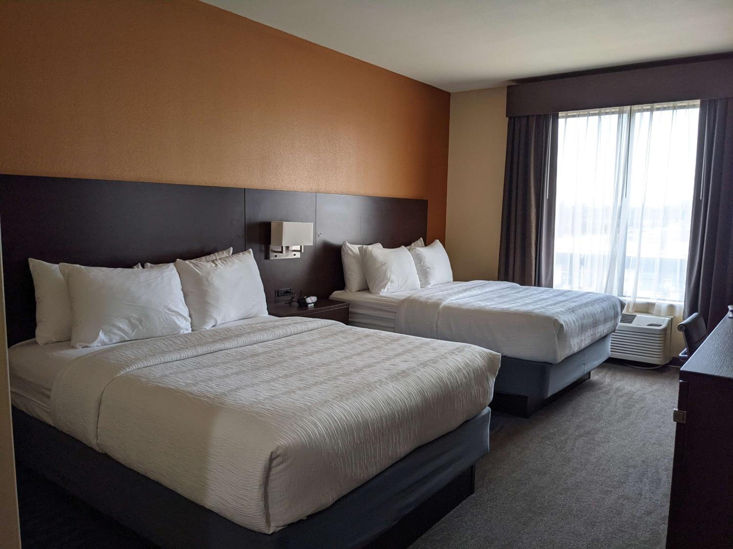 Queen Suite with Two Queen Beds with Sofa Bed photo 1