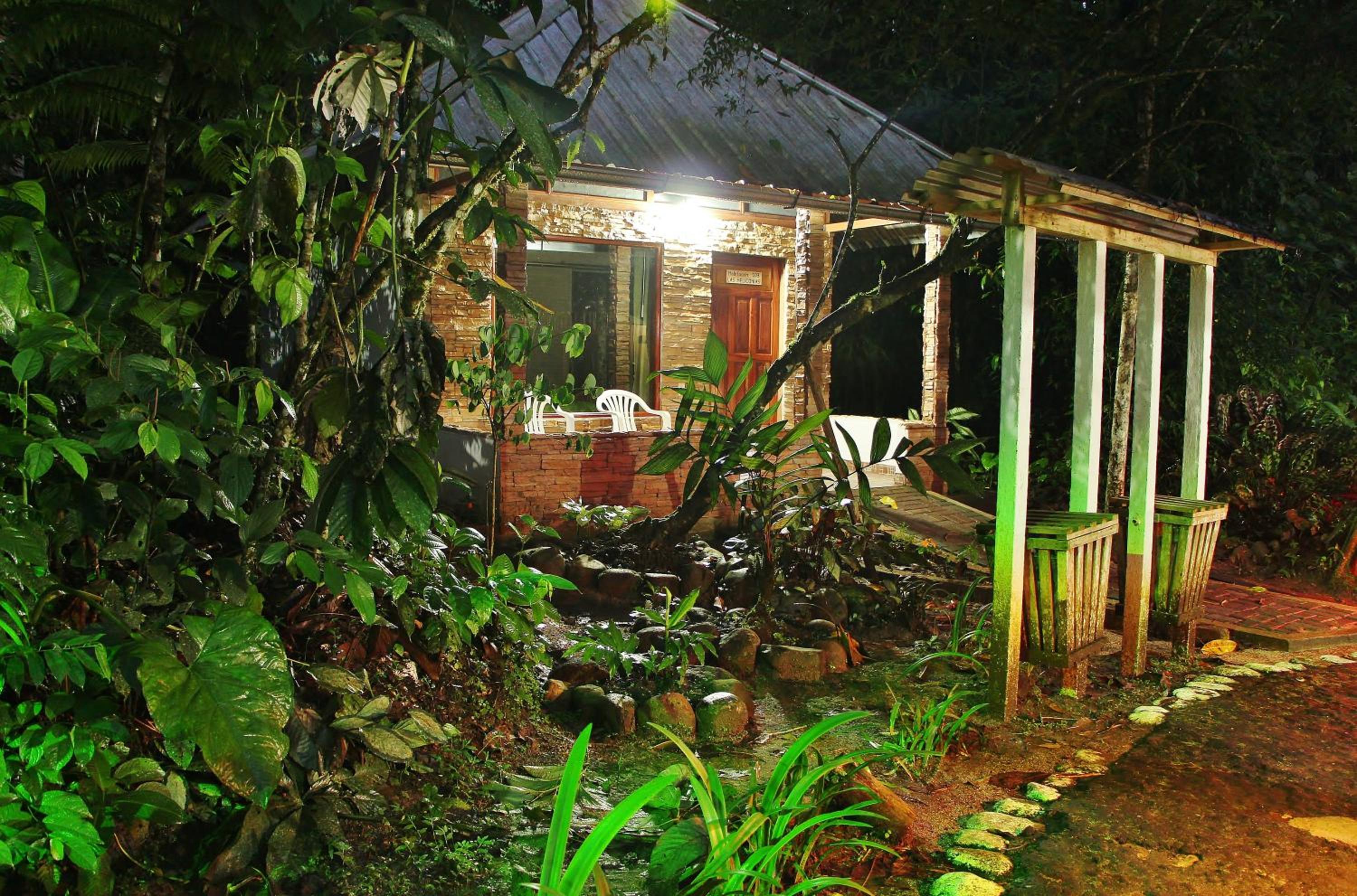 Single Room with Garden View photo 3