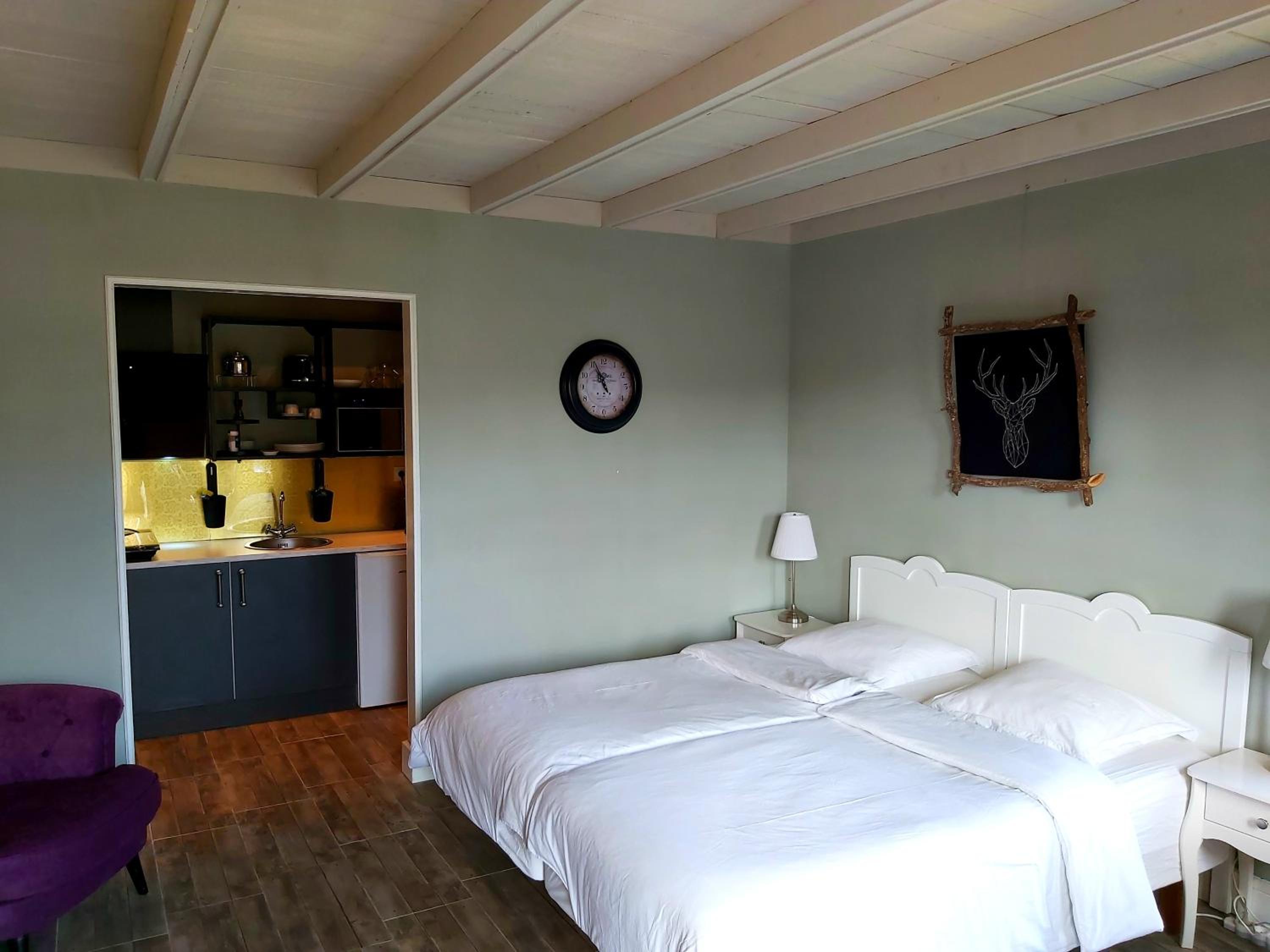 Superior Double or Twin Room with Terrace photo 2