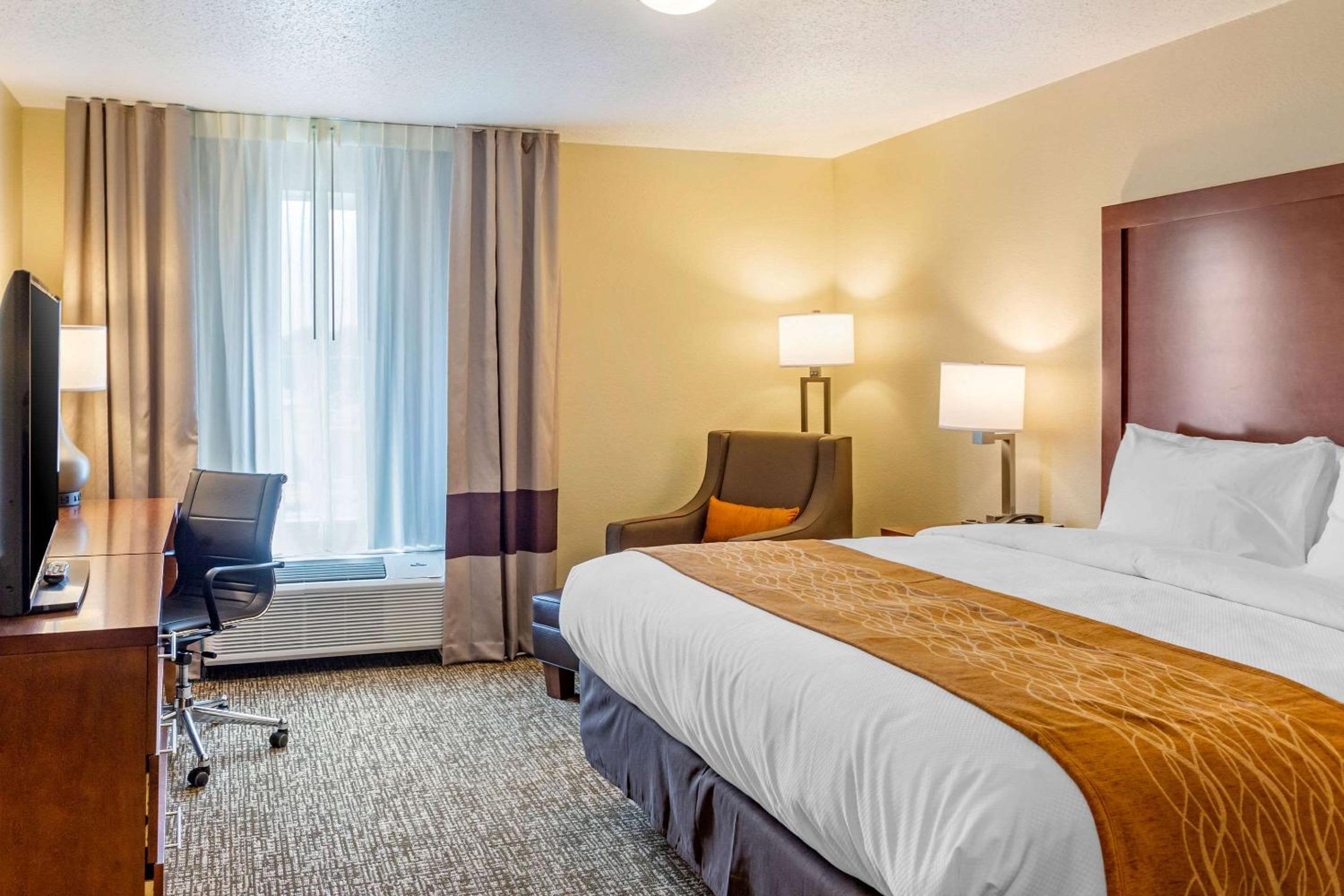 King Room with Roll-In Shower - Accessible/Non Smoking - Photo 4