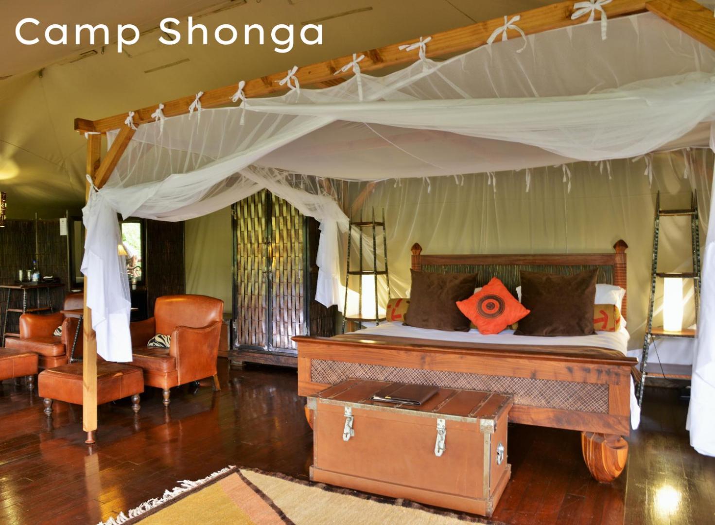 Shonga Tented Camp – with Bush Views photo 1