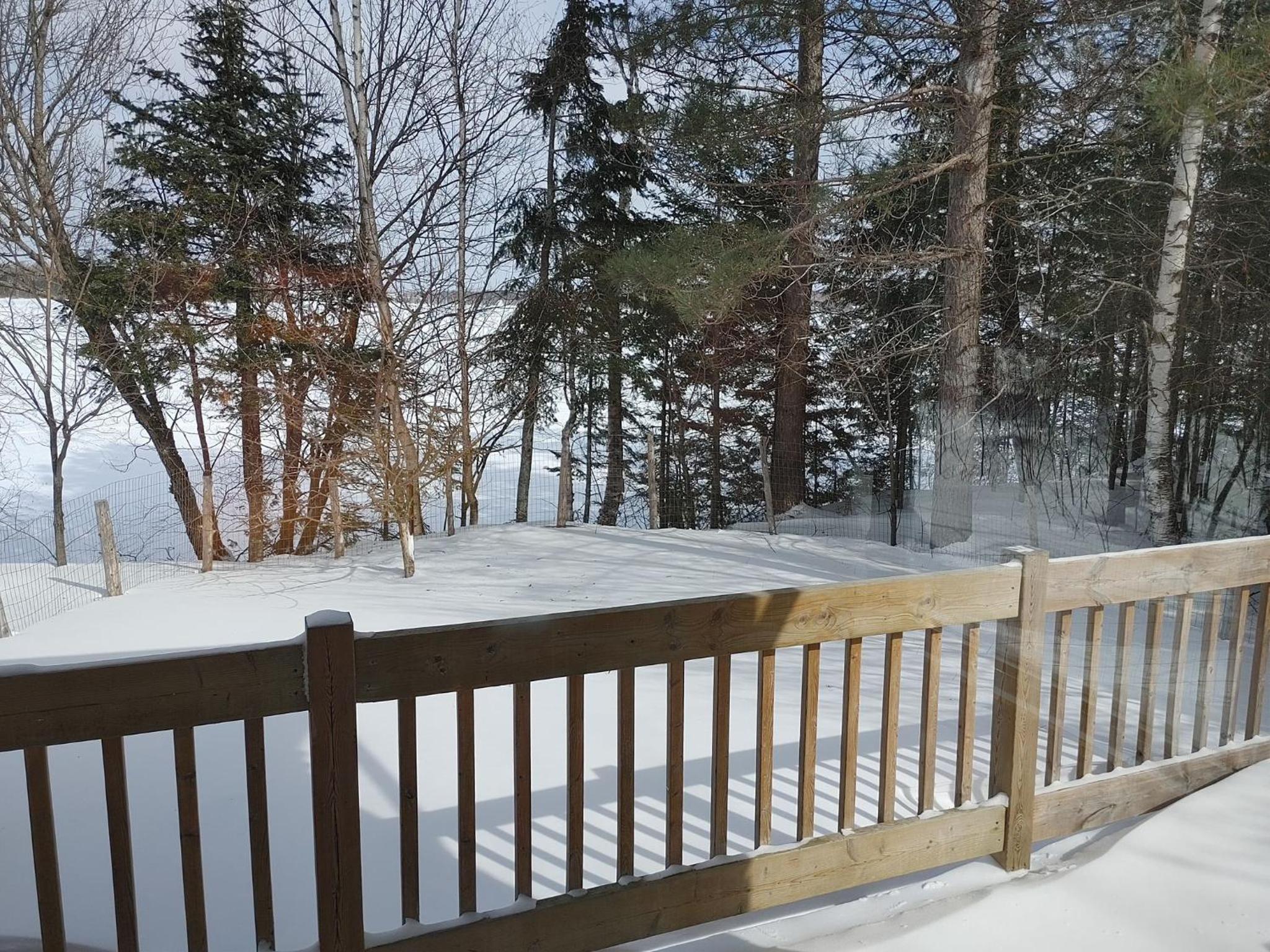Three-Bedroom Chalet photo 2
