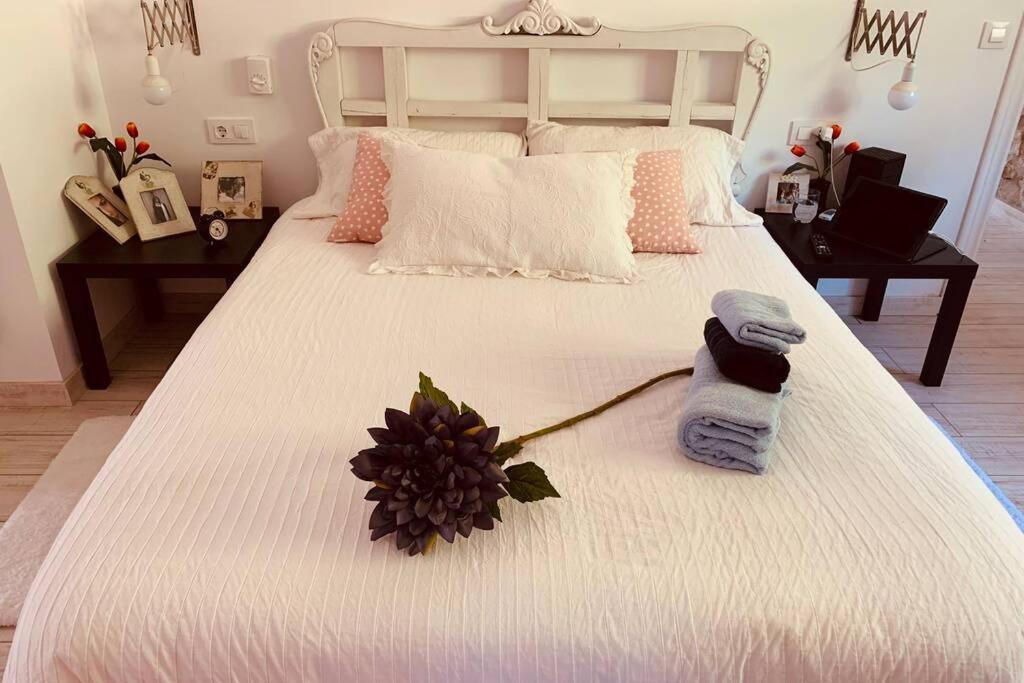 Quadruple Room - Photo 1