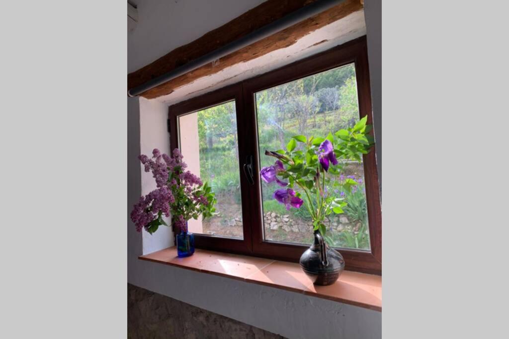 Quadruple Room - Photo 7