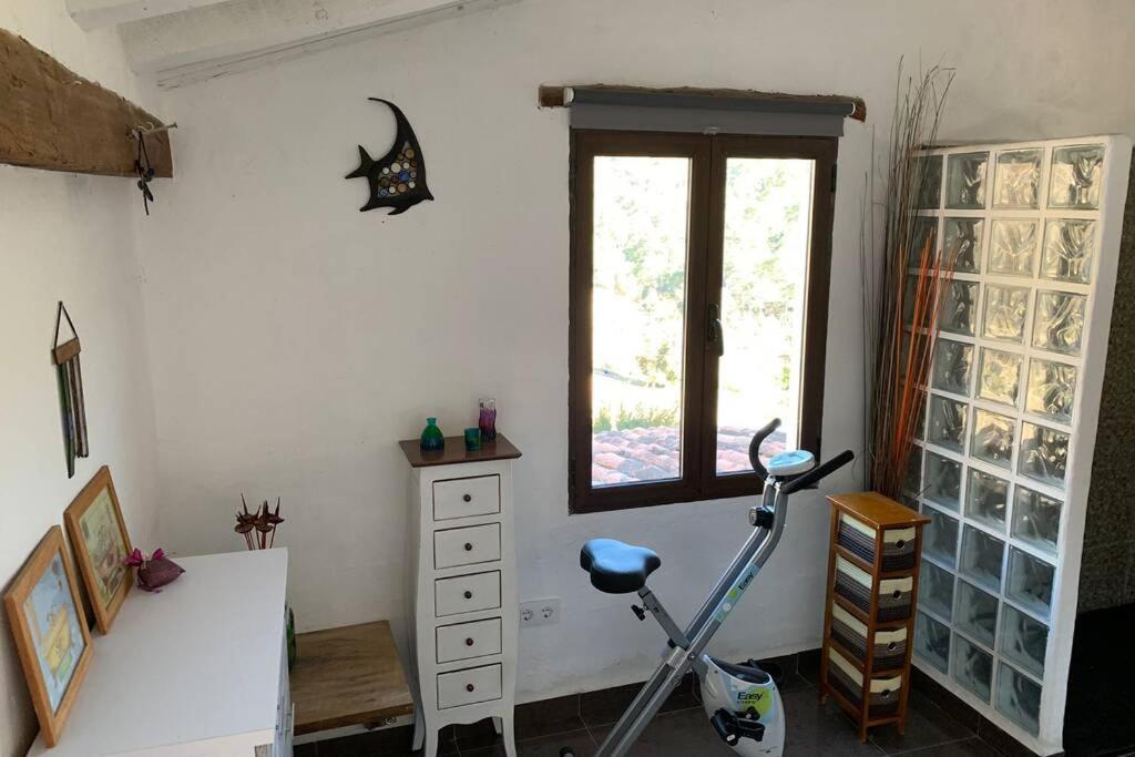 Quadruple Room - Photo 11