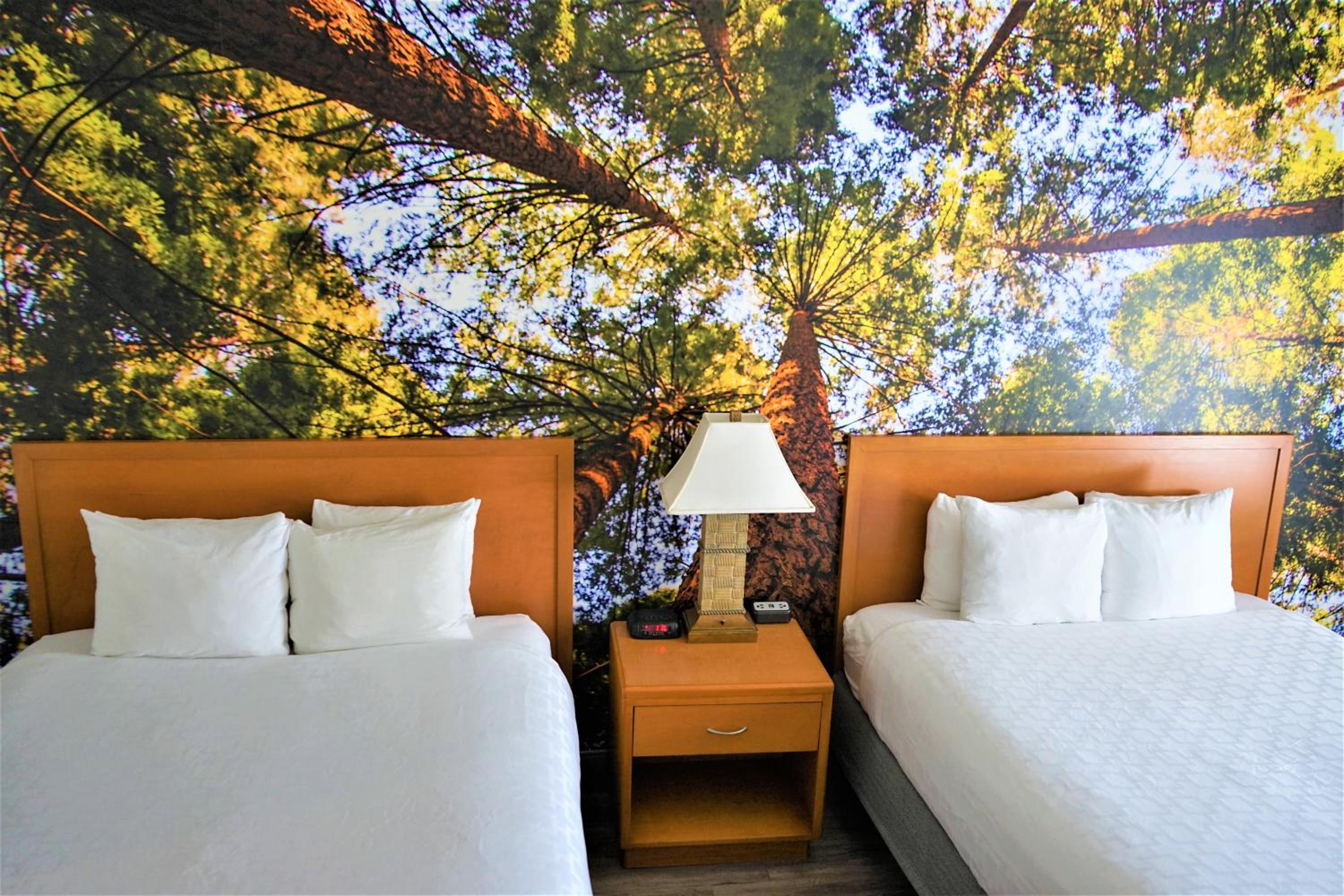 Queen Room with Two Queen Beds - Accessible/Non-Smoking