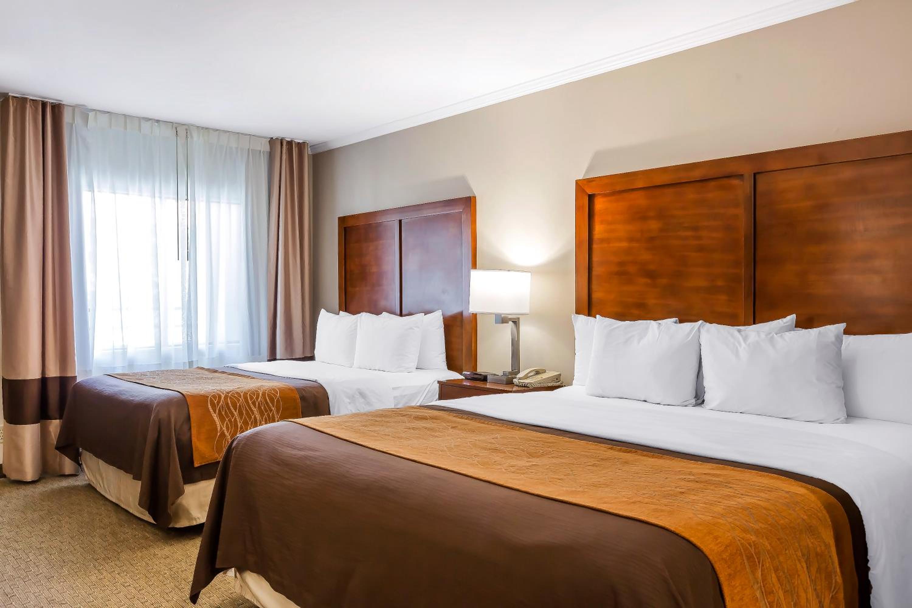 Standard Room, 1 King Bed and 1 Queen Bed, Non Smoking photo 1