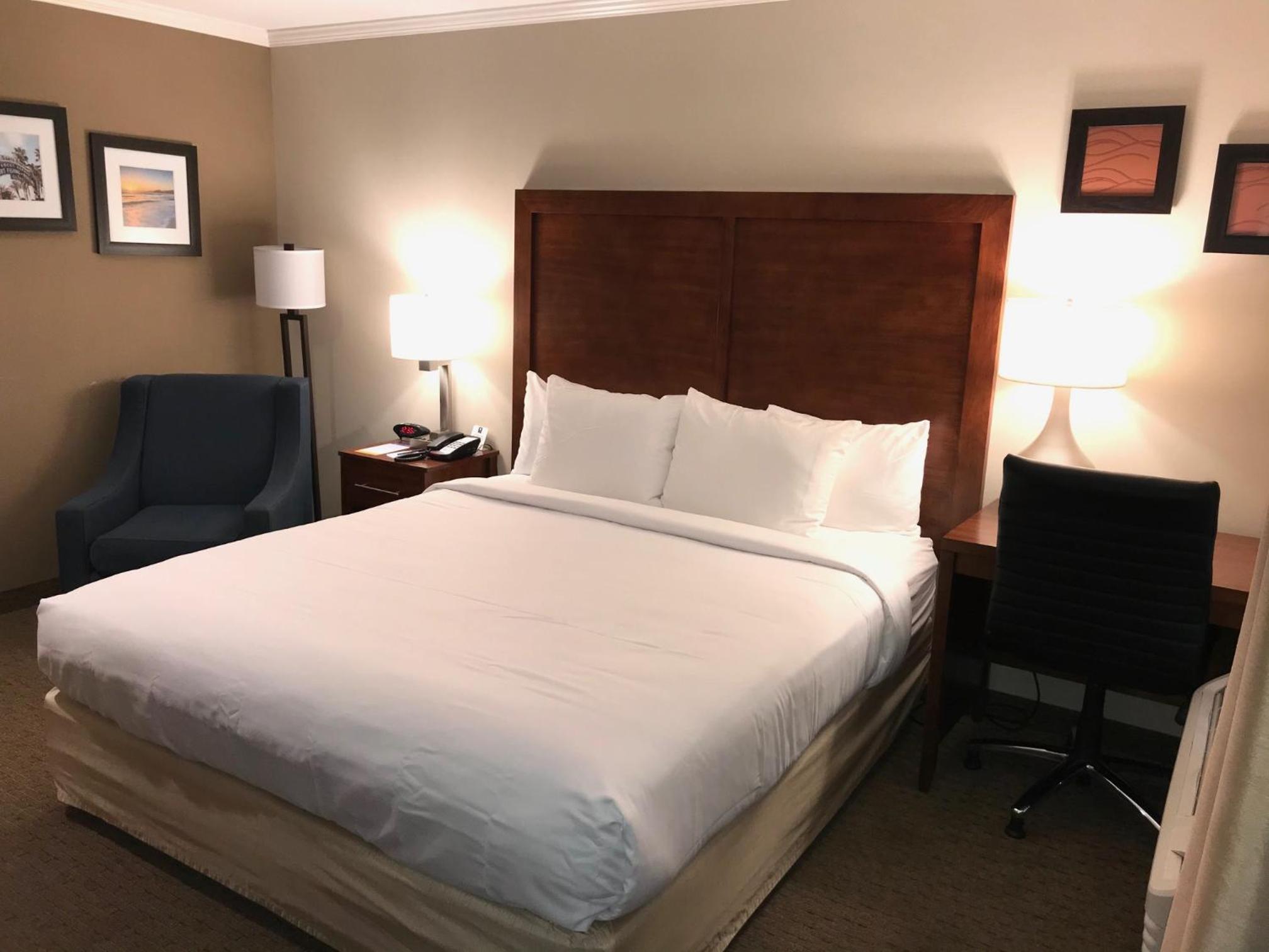 Standard Room, 1 King Bed, Accessible Tub, Non Smoking photo 1