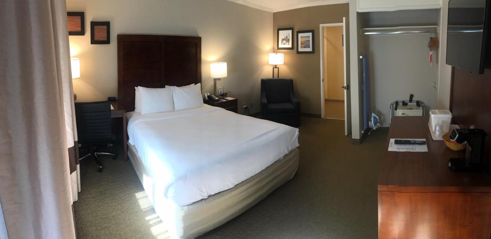 Standard Room, 1 Queen Bed, Accessible Tub, Non Smoking, Courtyard View photo 1