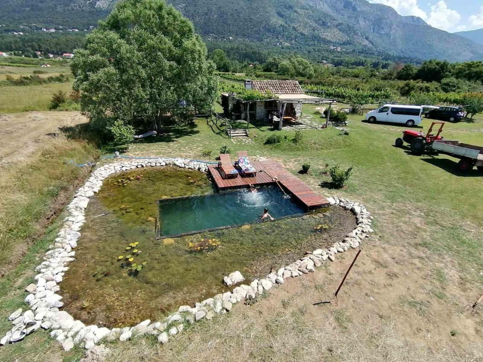 Vacation Home photo 3