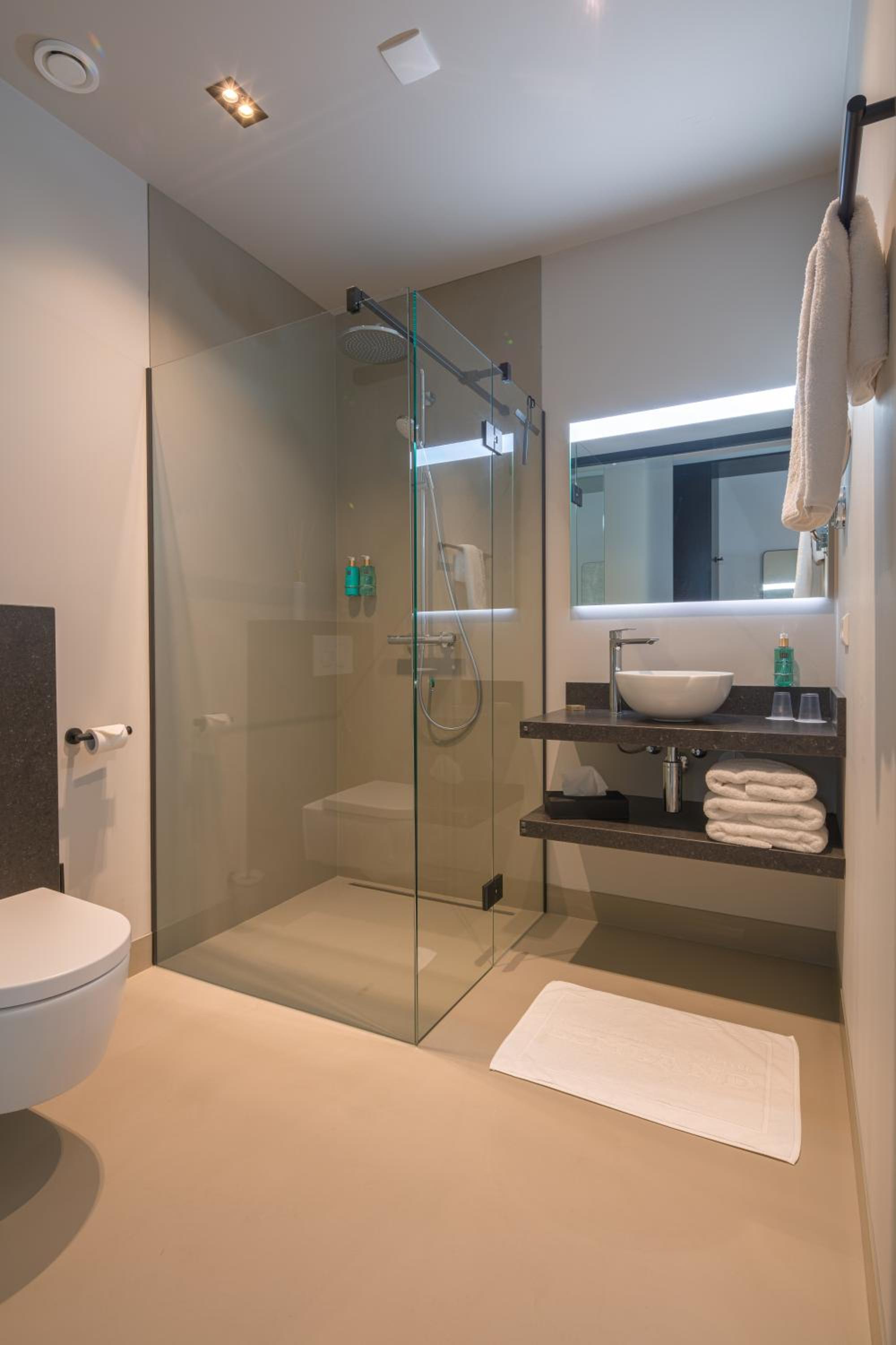 Deluxe Double or Twin Room - Photo 5