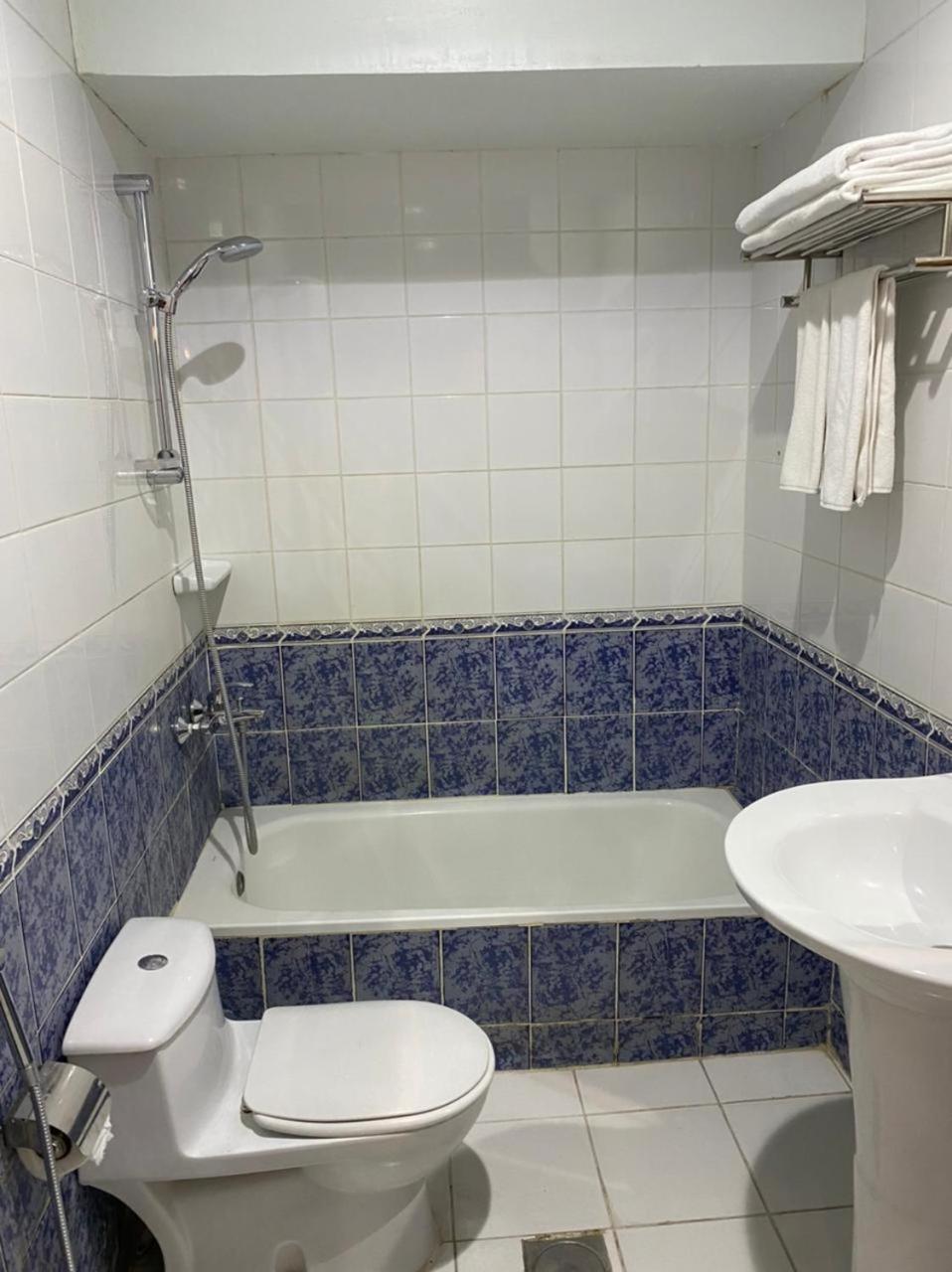 Duplex Apartment photo 2