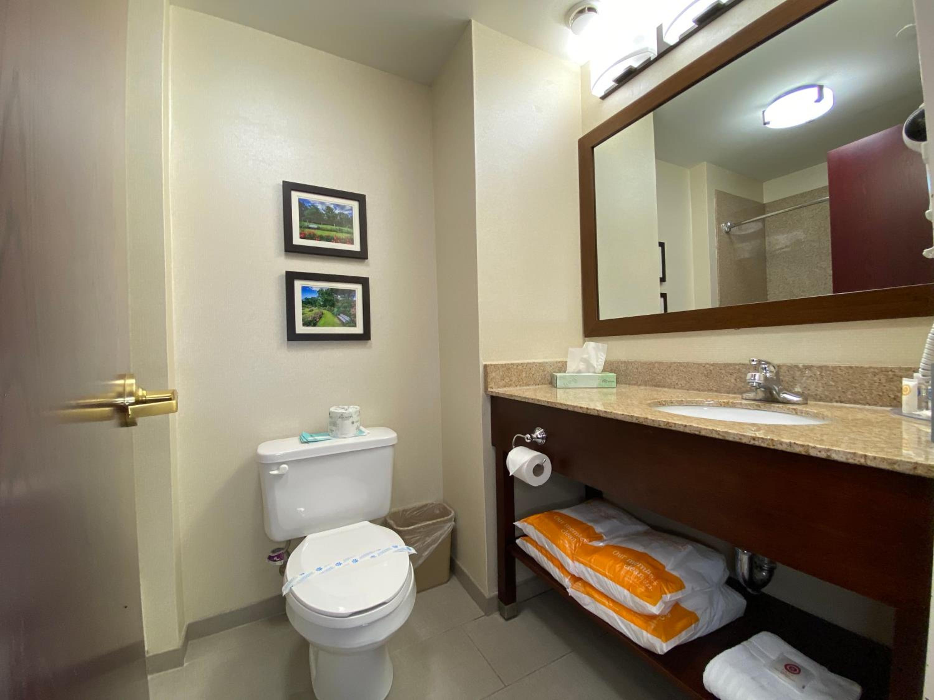King Room - Non-Smoking - Photo 3