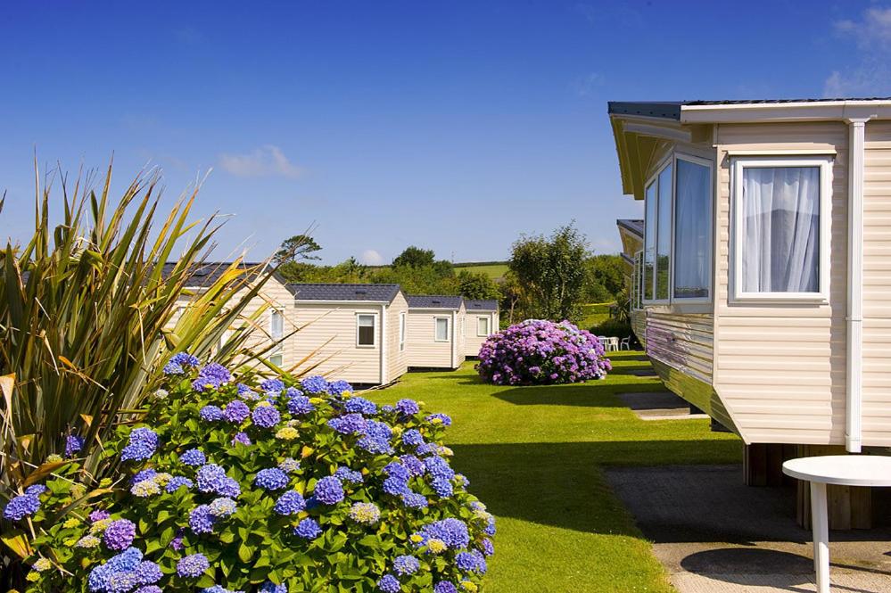 Caravan (Sleeps 5) photo 3