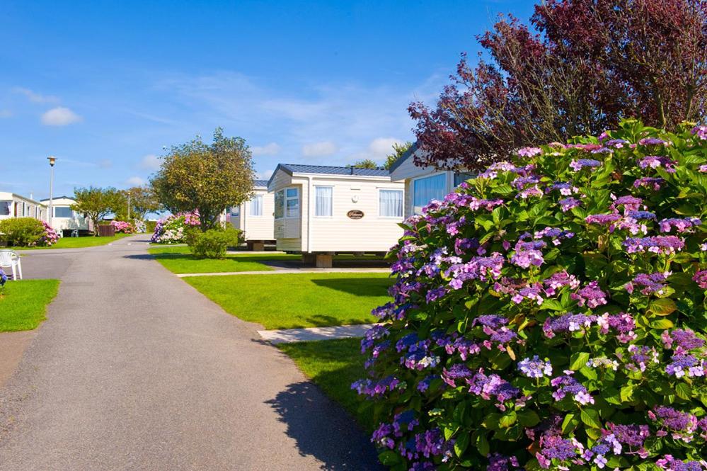 Caravan (Sleeps 6) photo 3