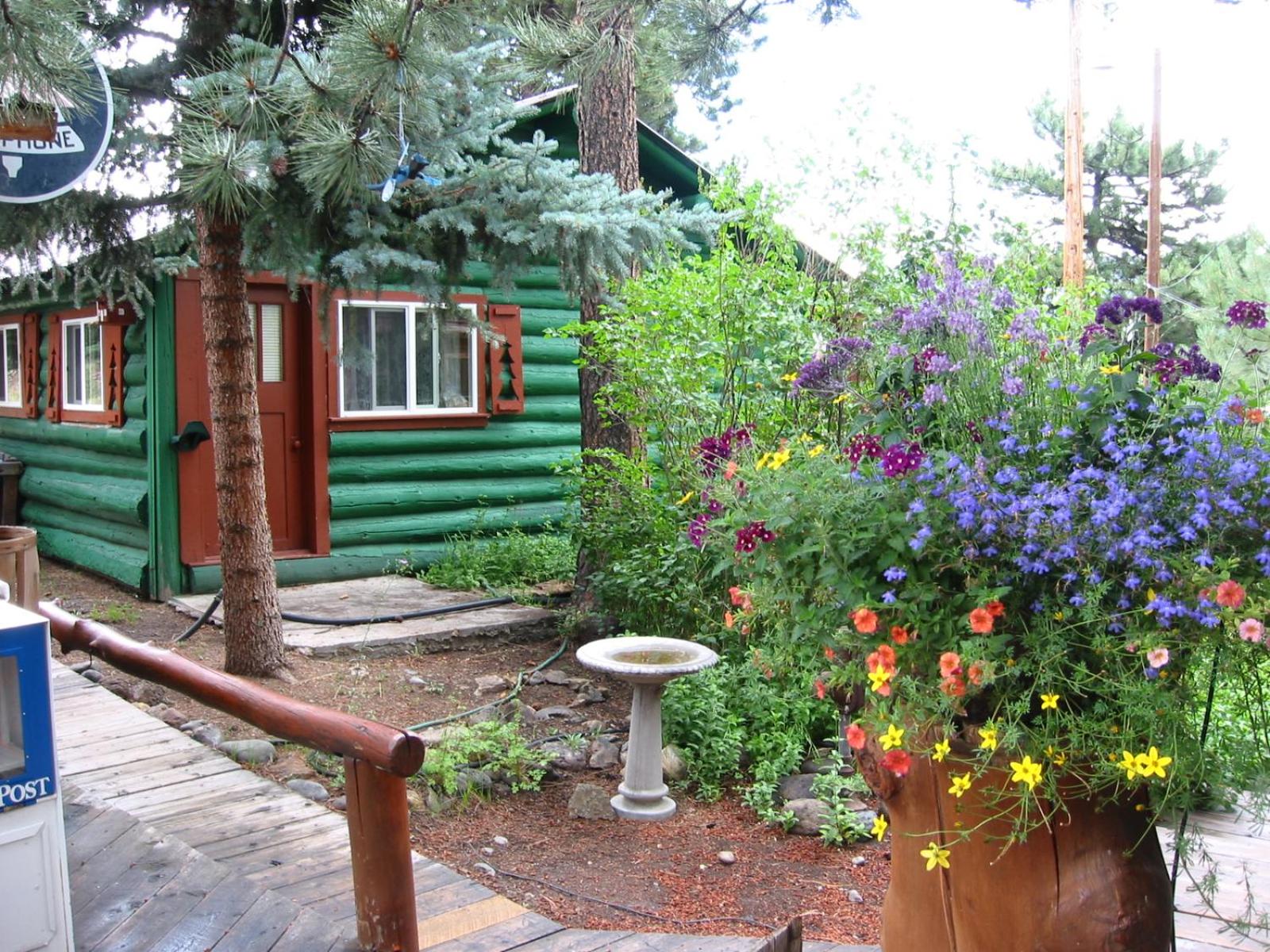 Three-Bedroom Chalet photo 2