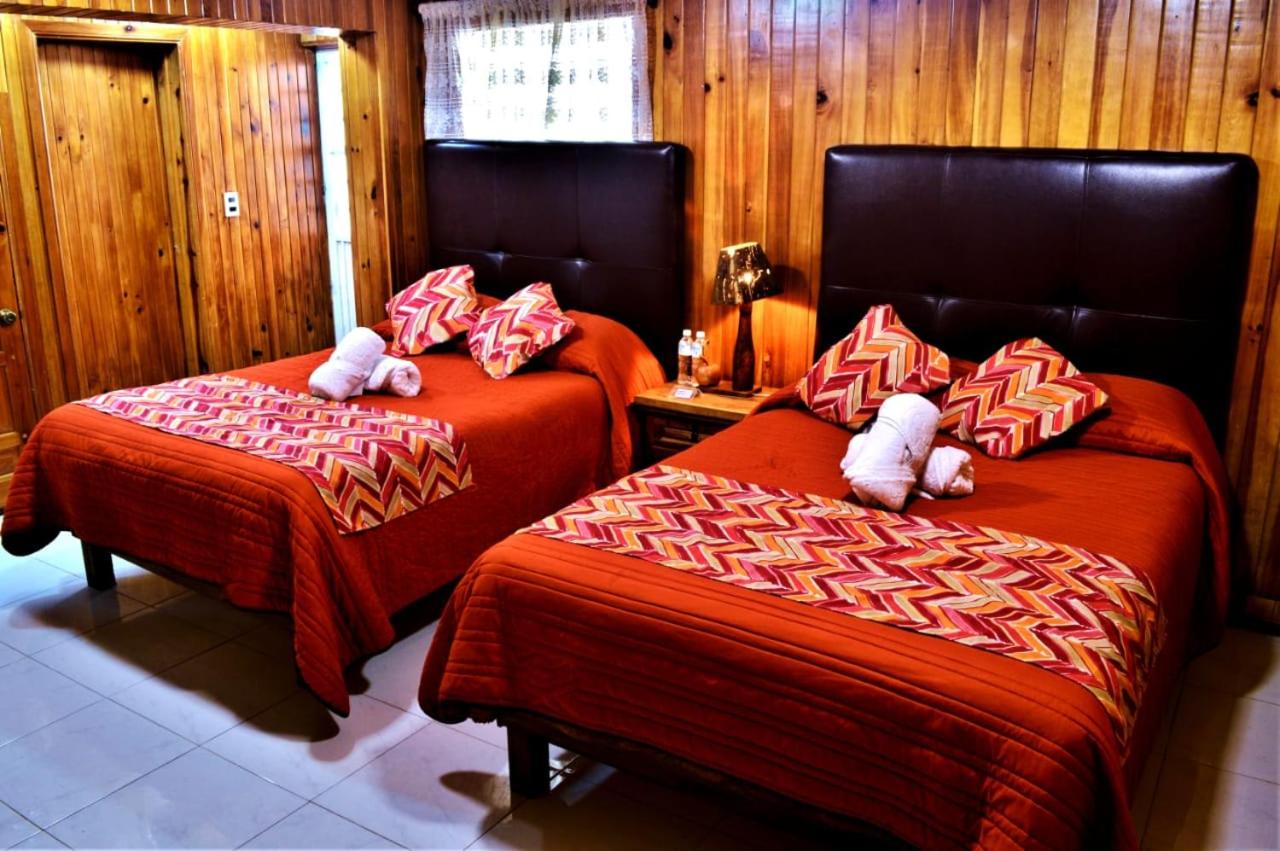 Twin Room - Photo 3