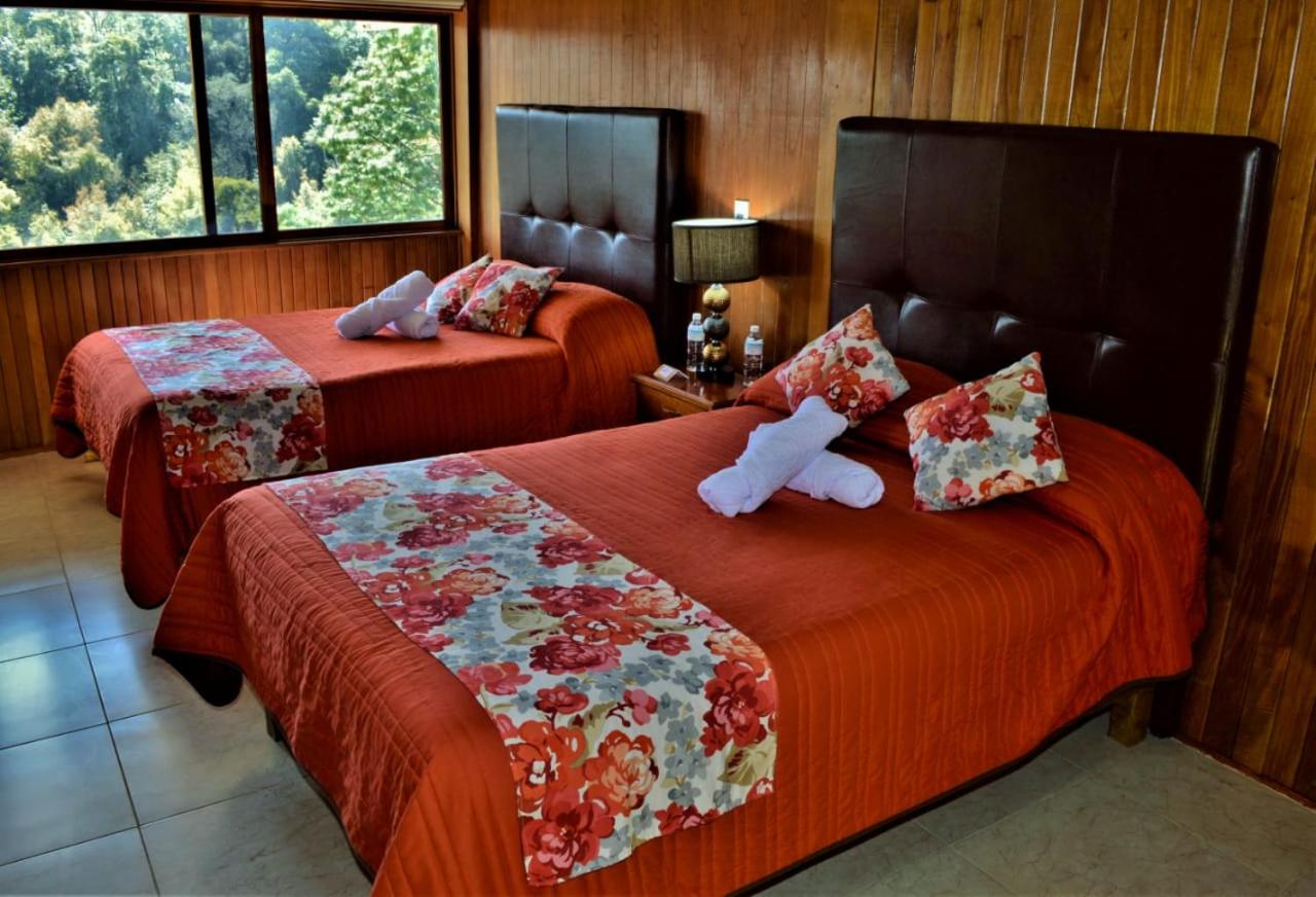 Twin Room - Photo 12