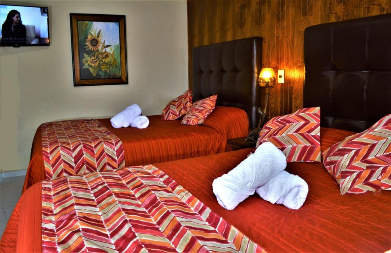 Twin Room - Photo 11