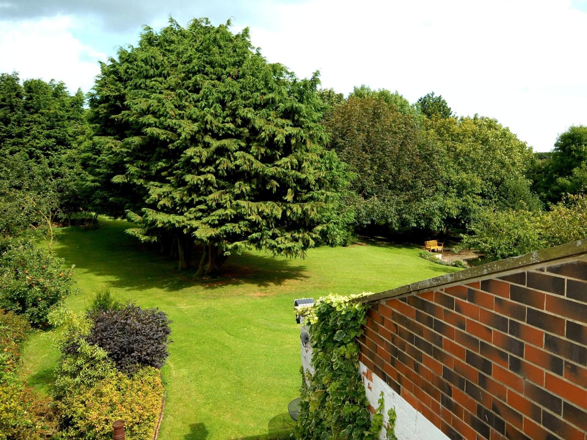 Classic Twin Room with Garden View photo 3