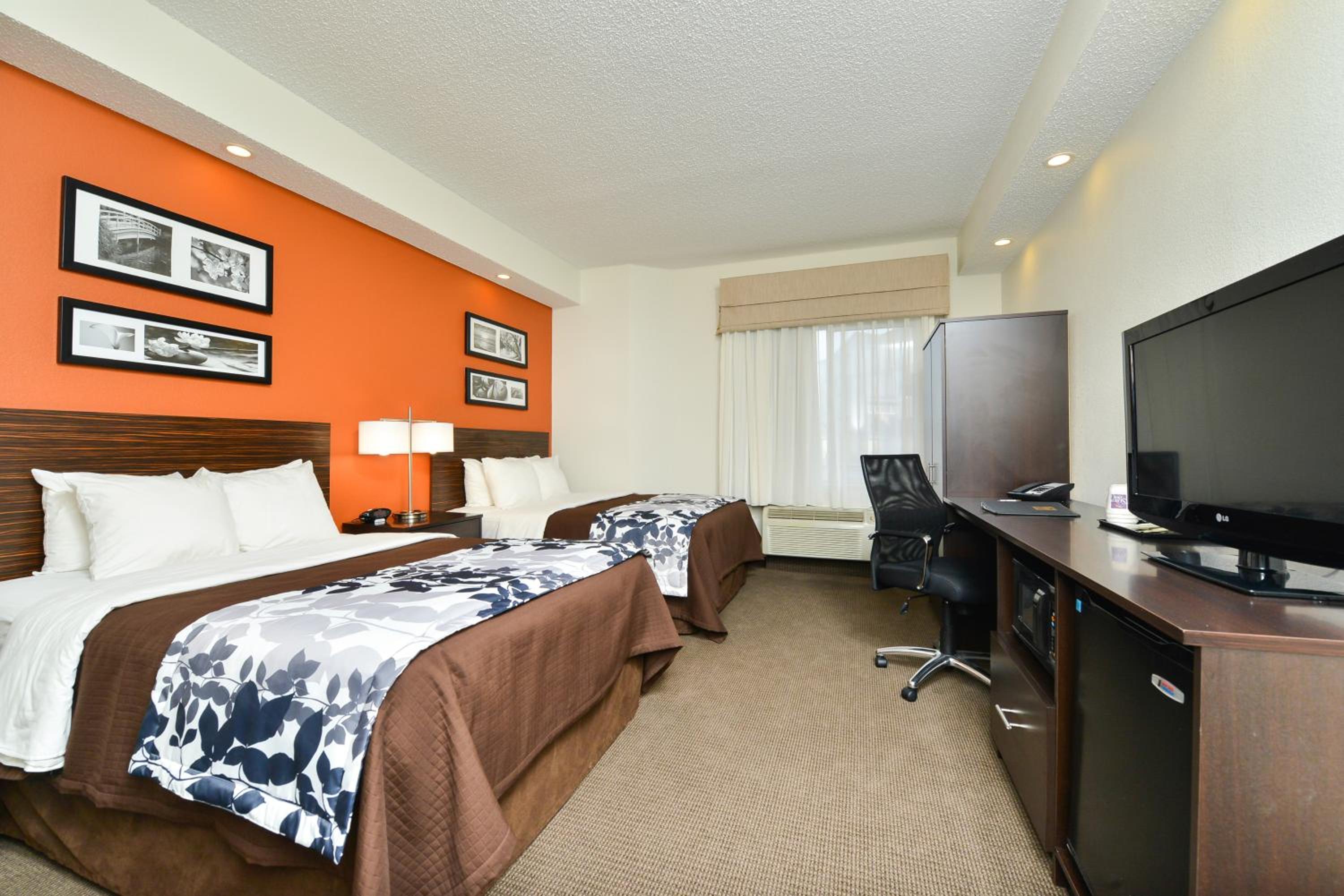 King Room - Non-Smoking - Photo 2