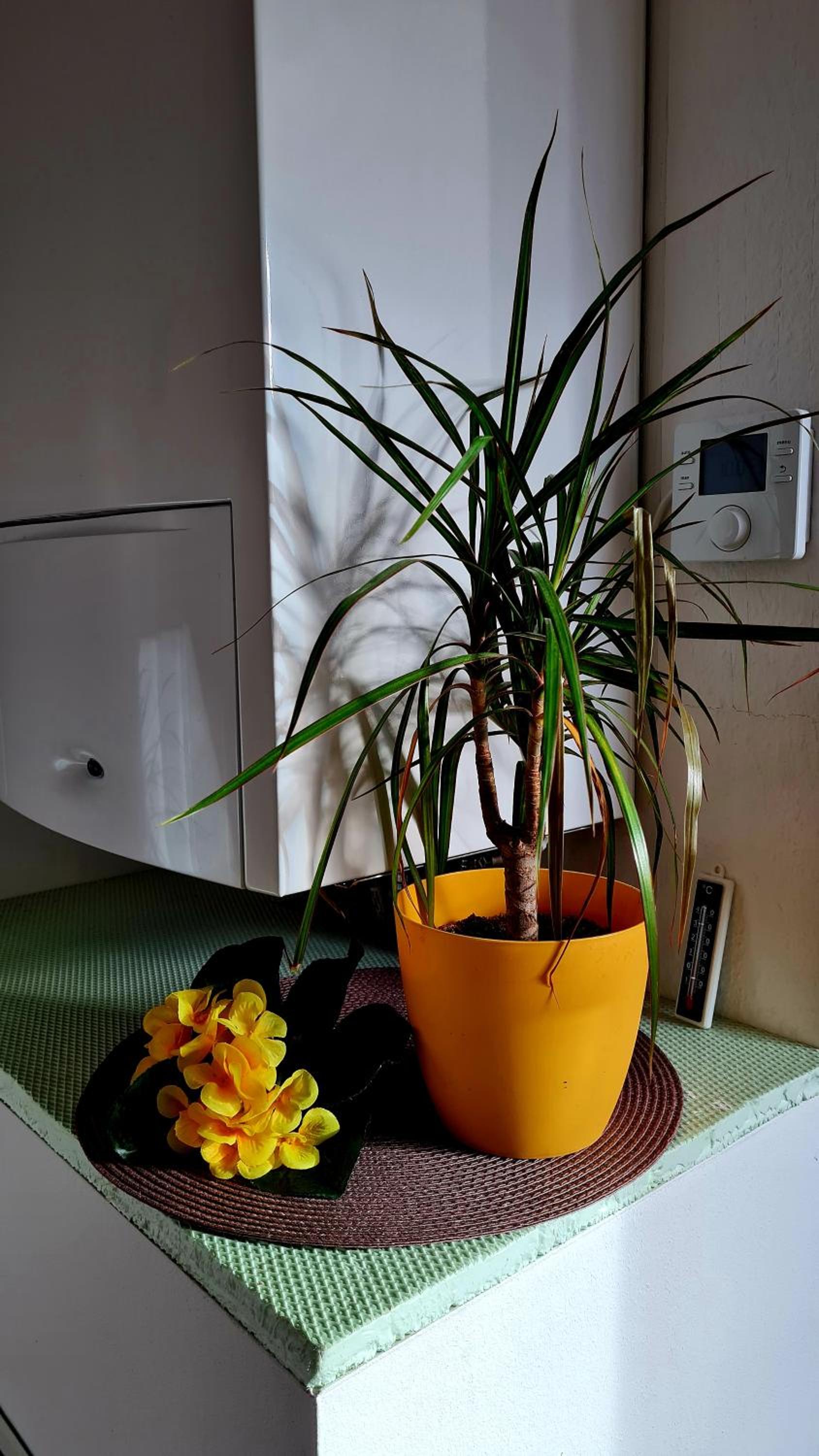 Apartment with Balcony - Photo 6