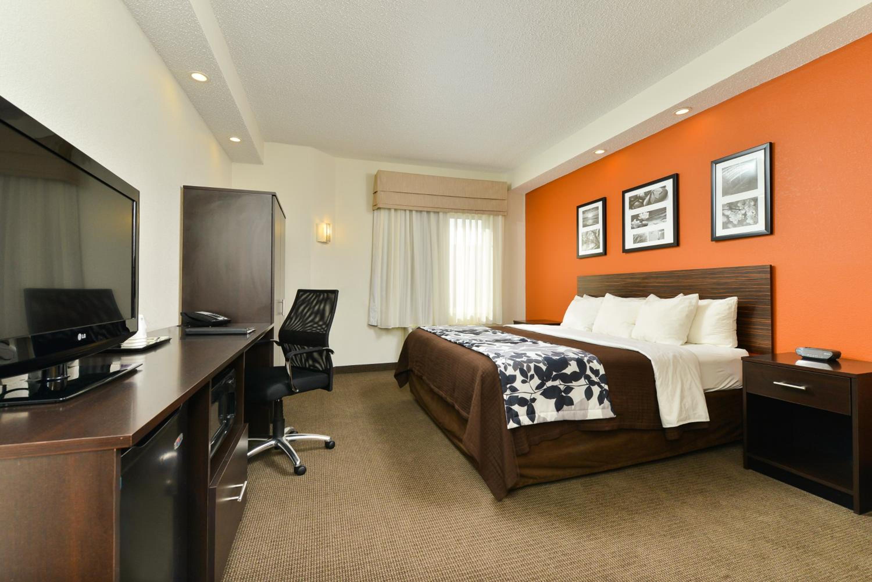 King Room - Non-Smoking - Photo 1