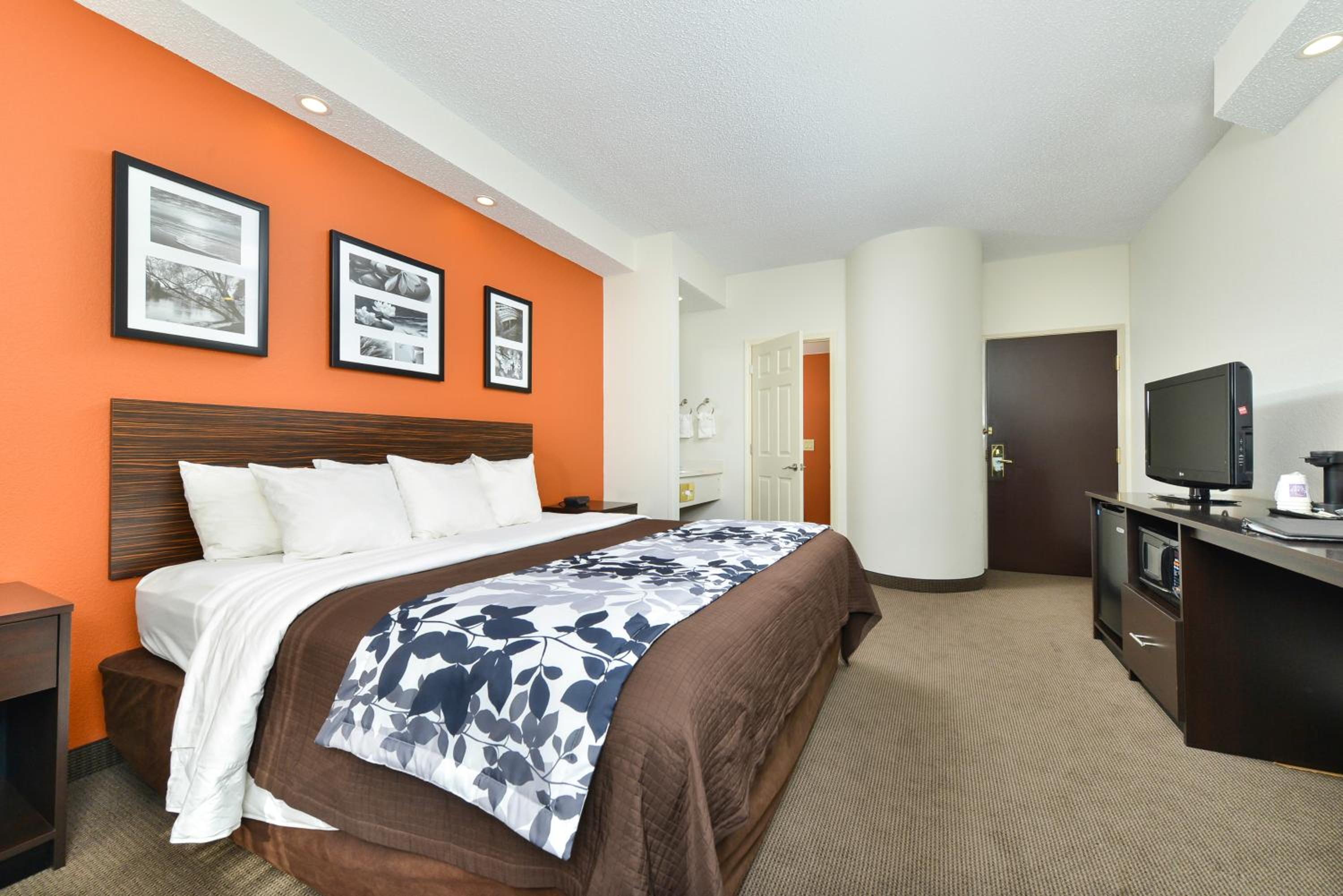 King Room - Non-Smoking - Photo 4