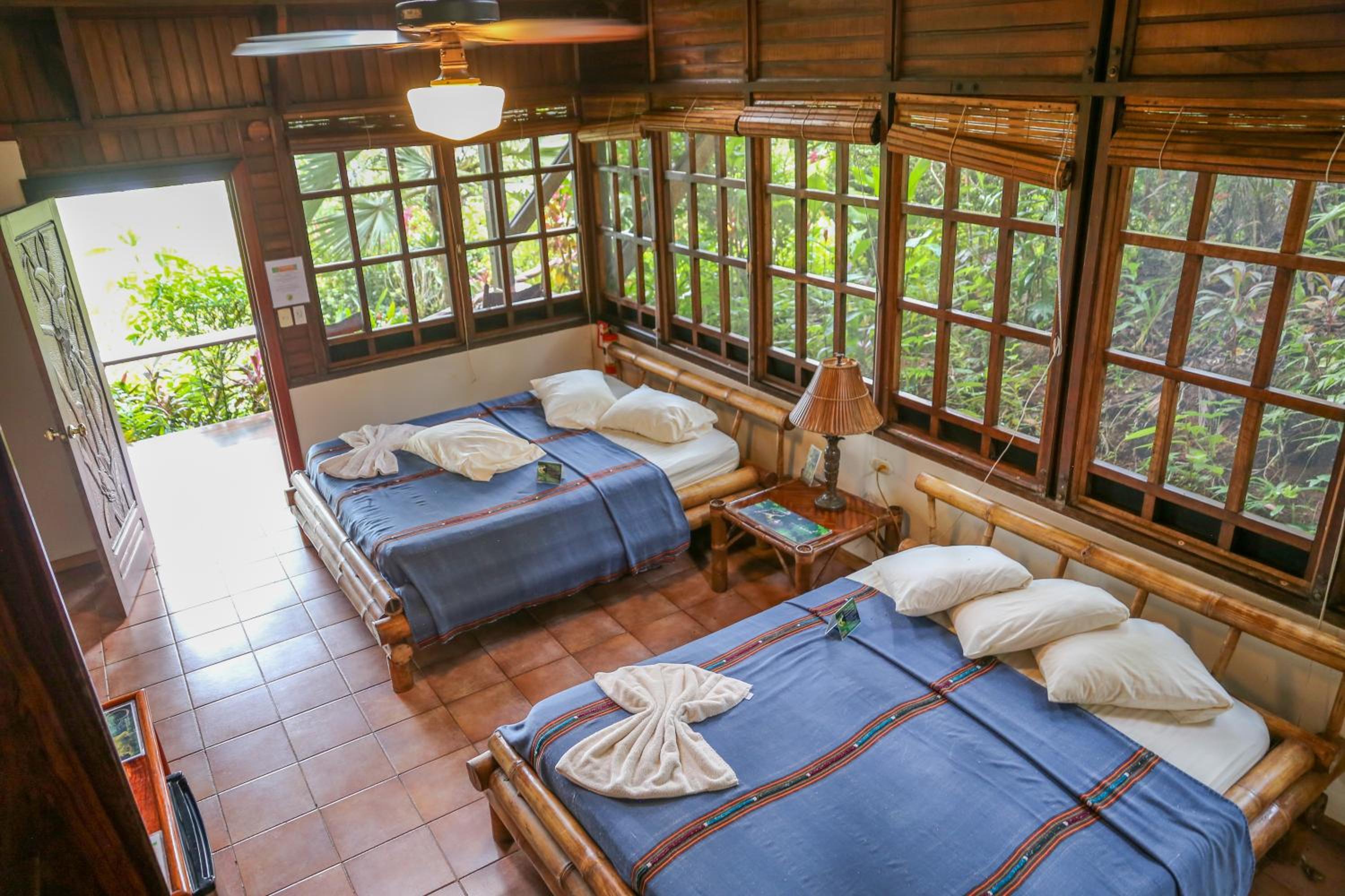 Double Room with View photo 1