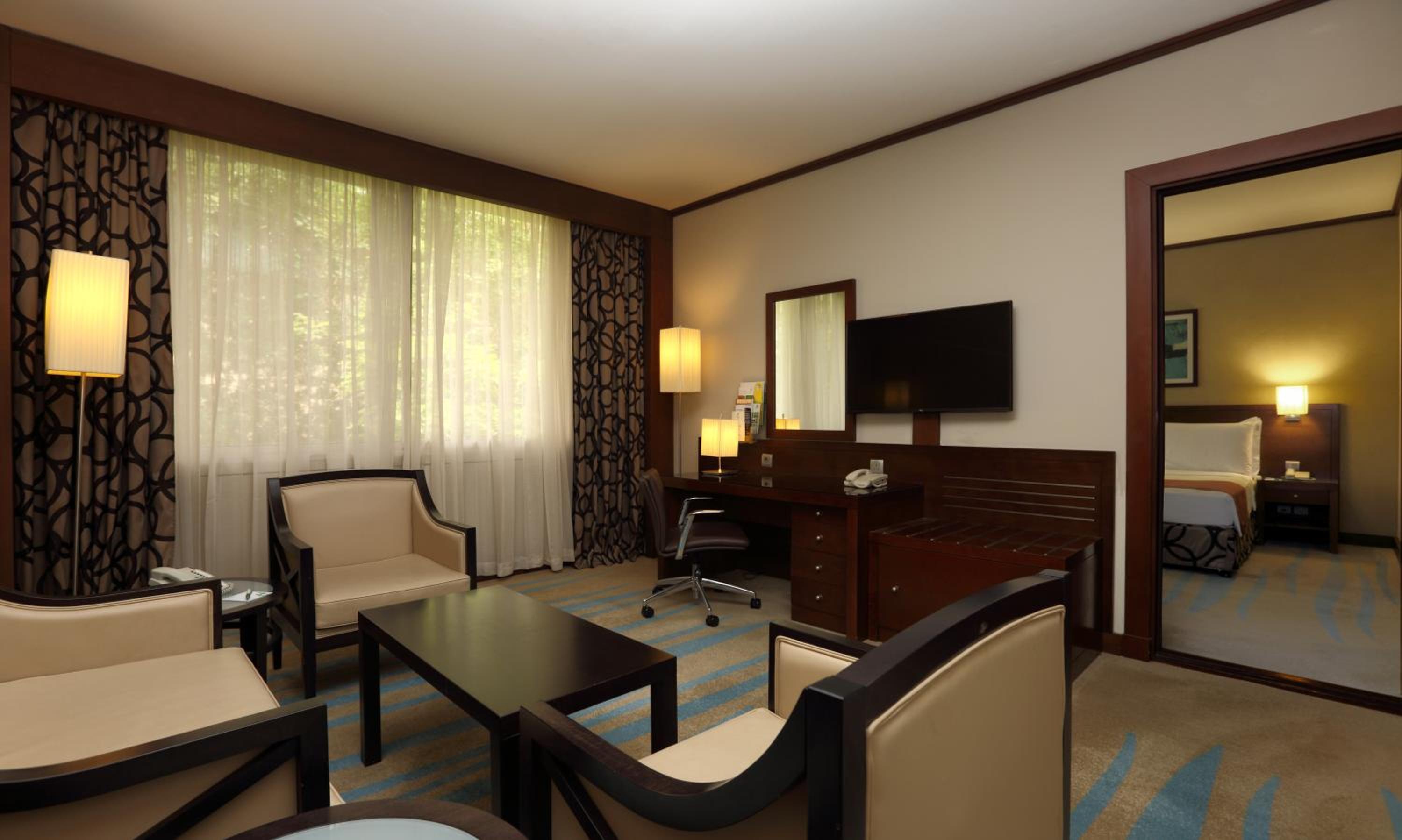 1 King 1 Bedroom Suite Living Area