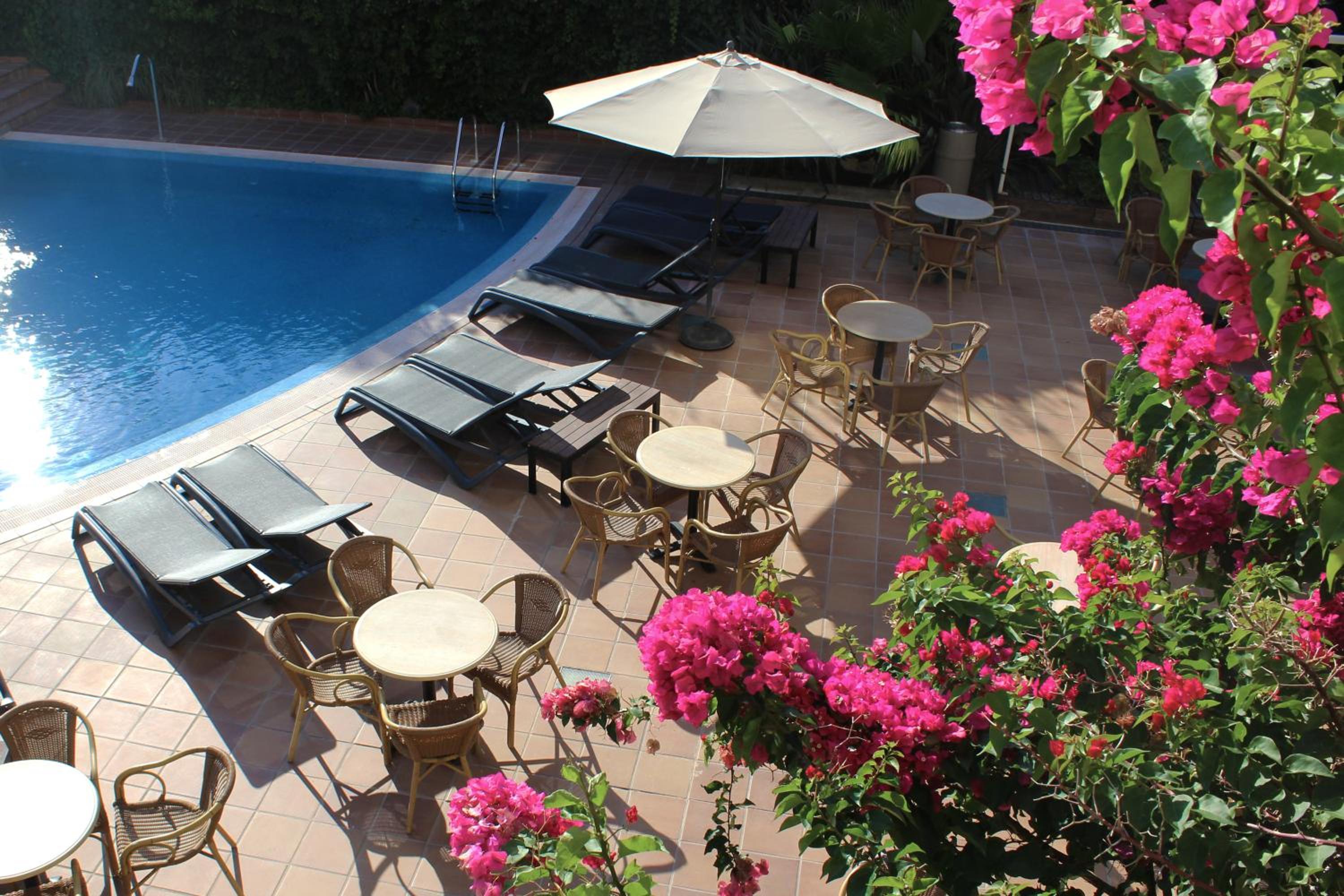 Twin Room with Pool View photo 3