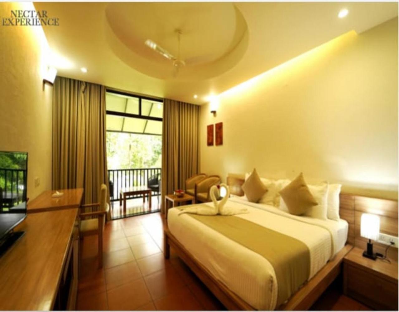 Deluxe Double or Twin Room with River View - Photo 4
