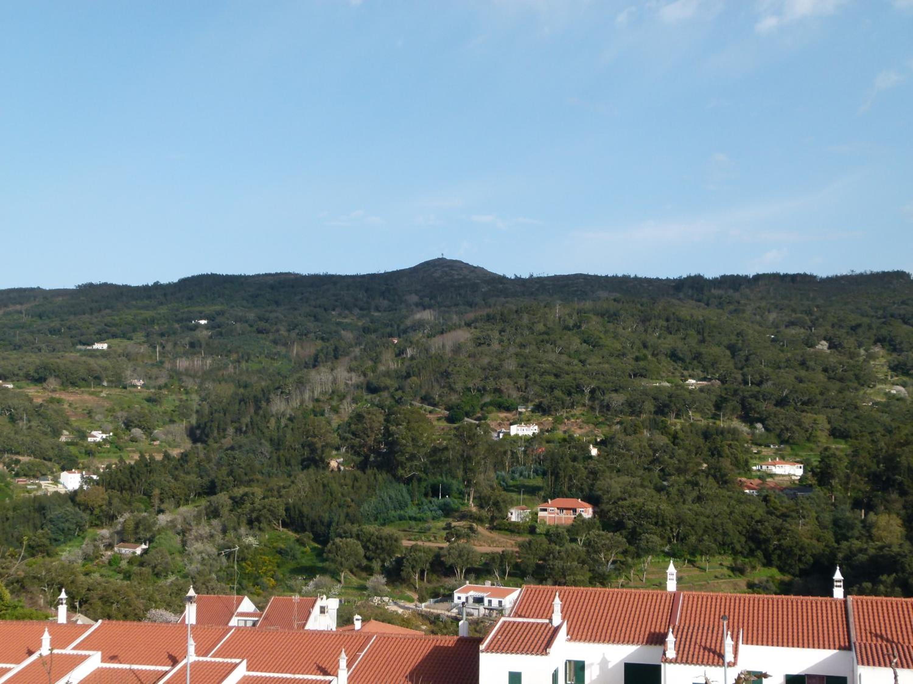Twin Room with View photo 2