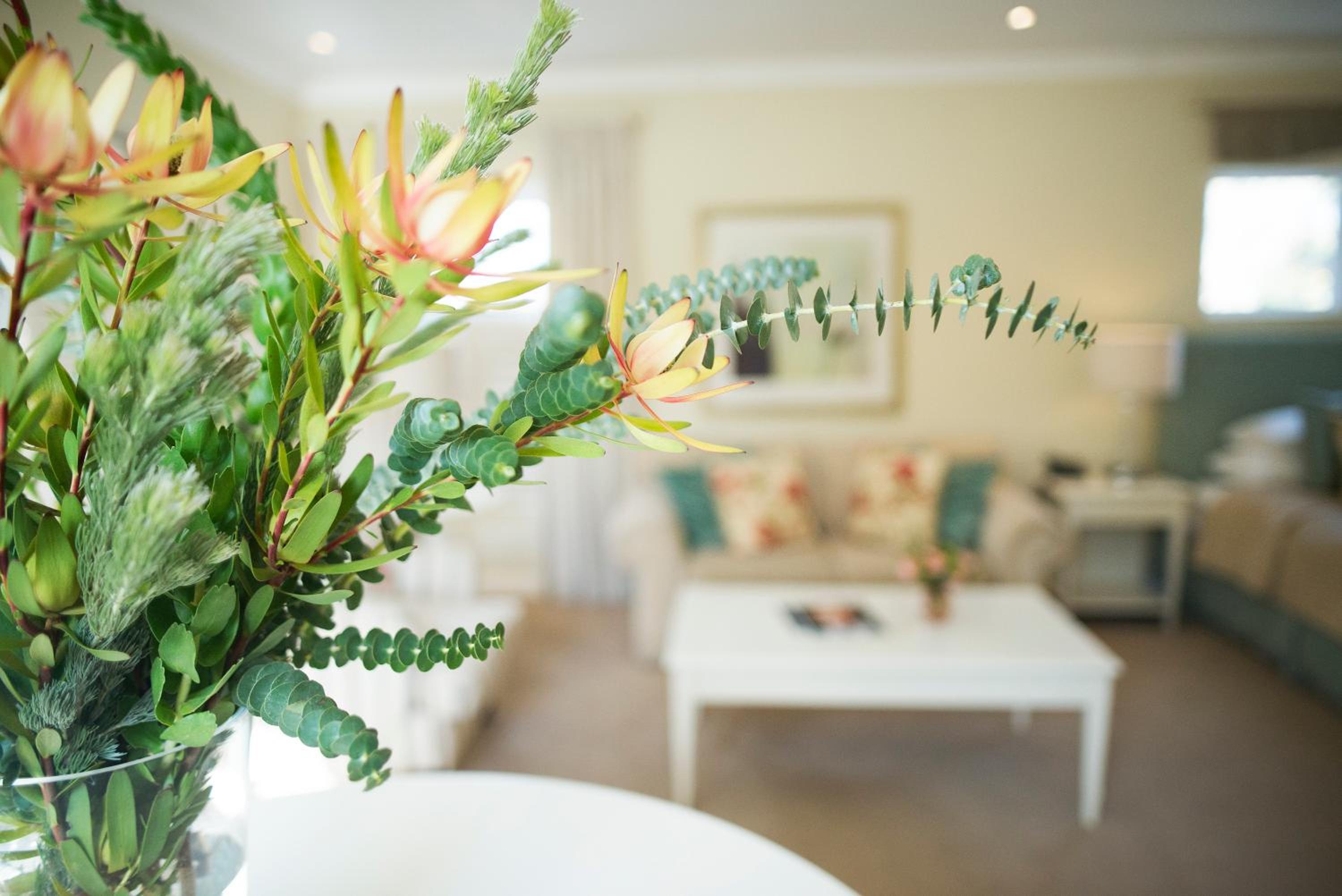 Family Suite - Photo 17