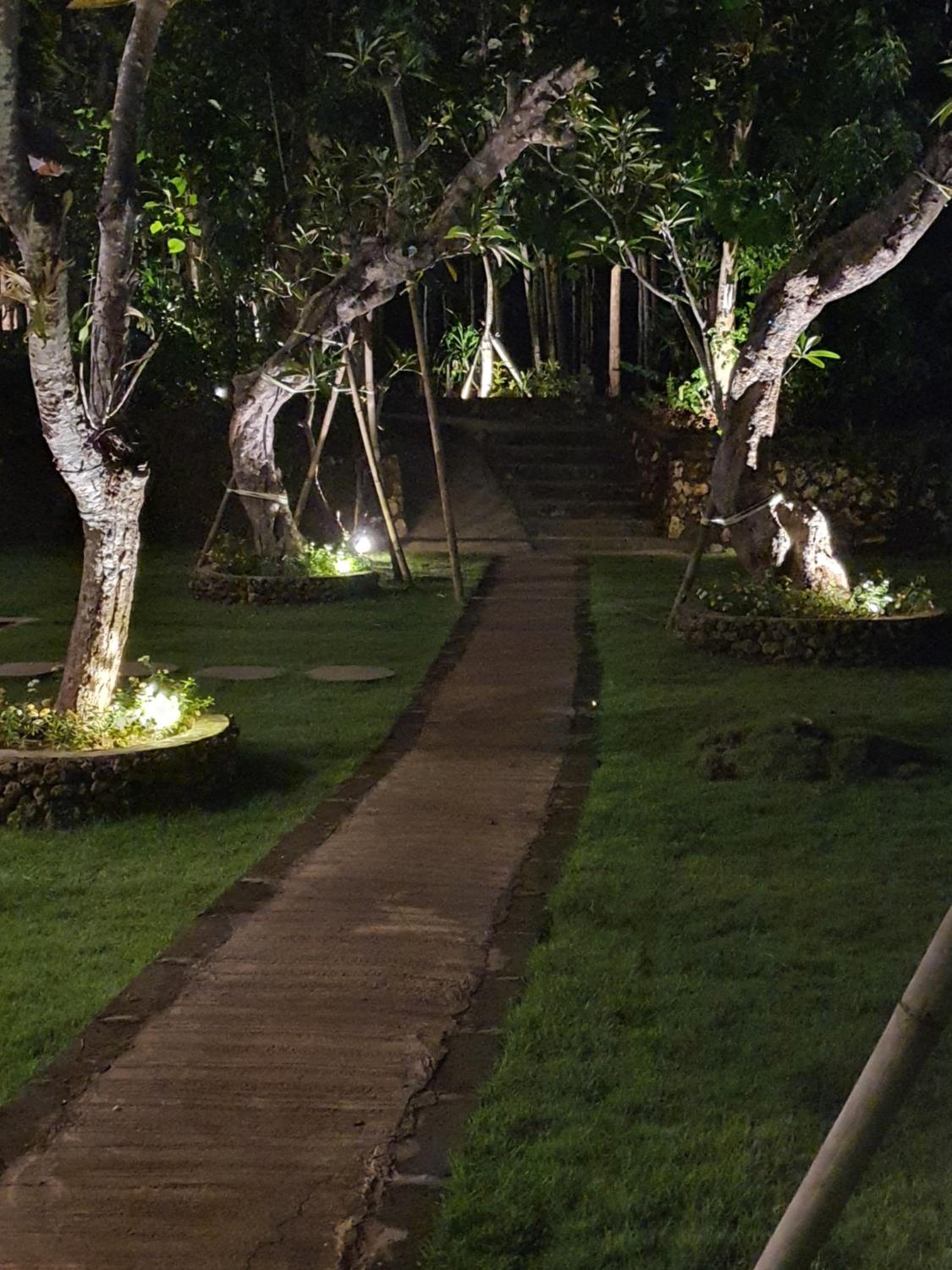 Deluxe Bungalow with Garden View photo 2
