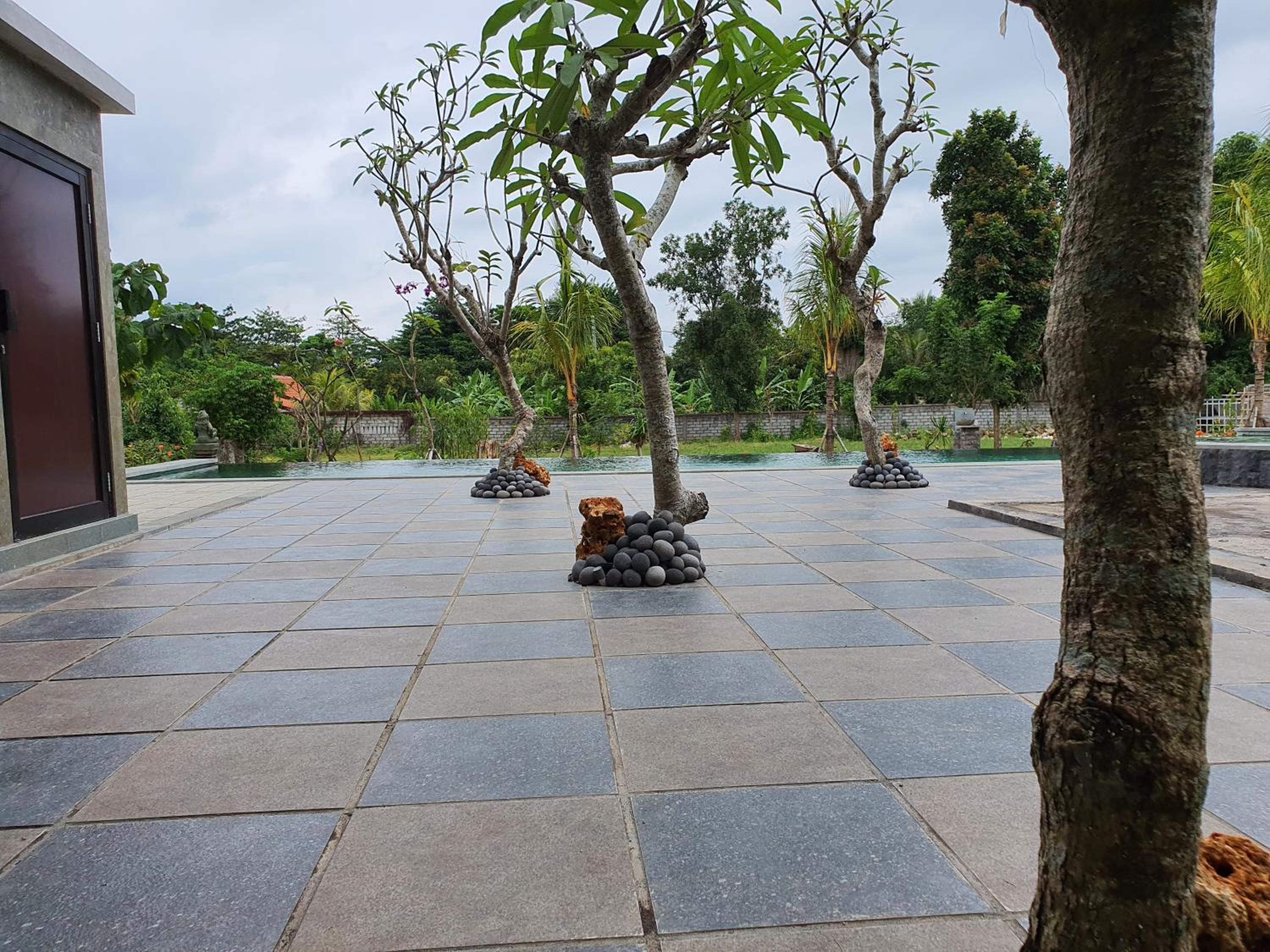 Deluxe Bungalow with Garden View photo 3