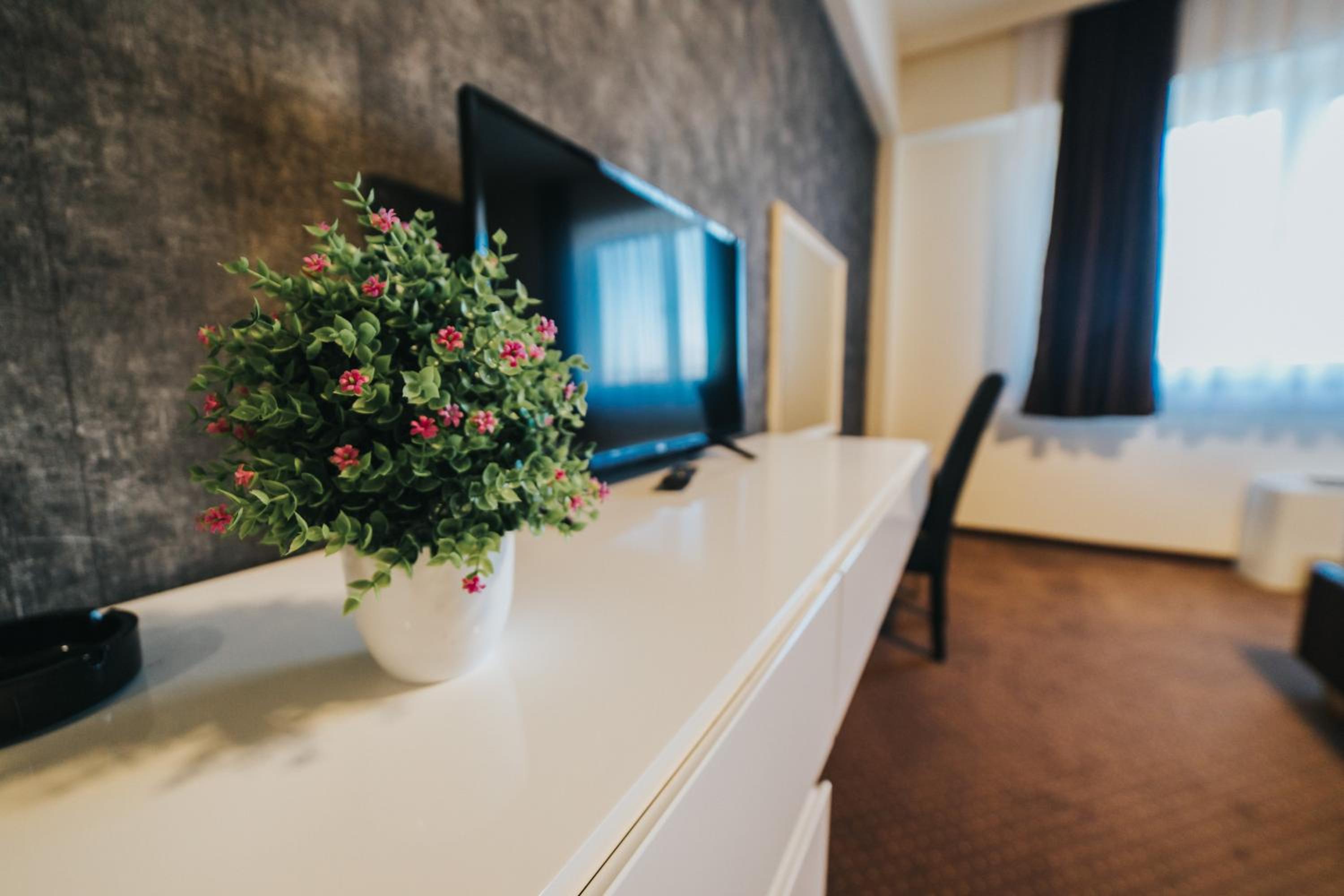 Deluxe Twin Room photo 2