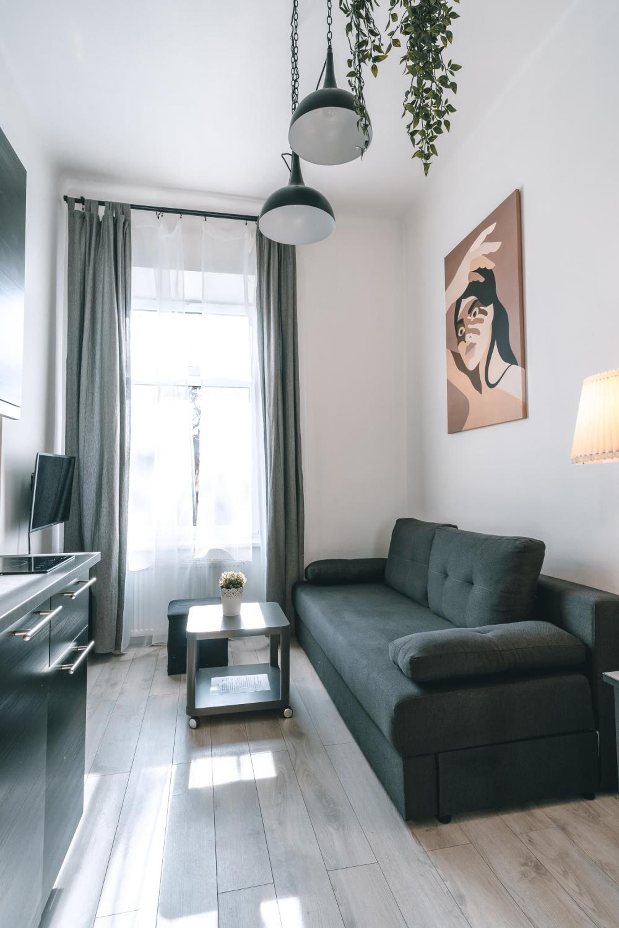 Deluxe Apartment - Photo 2