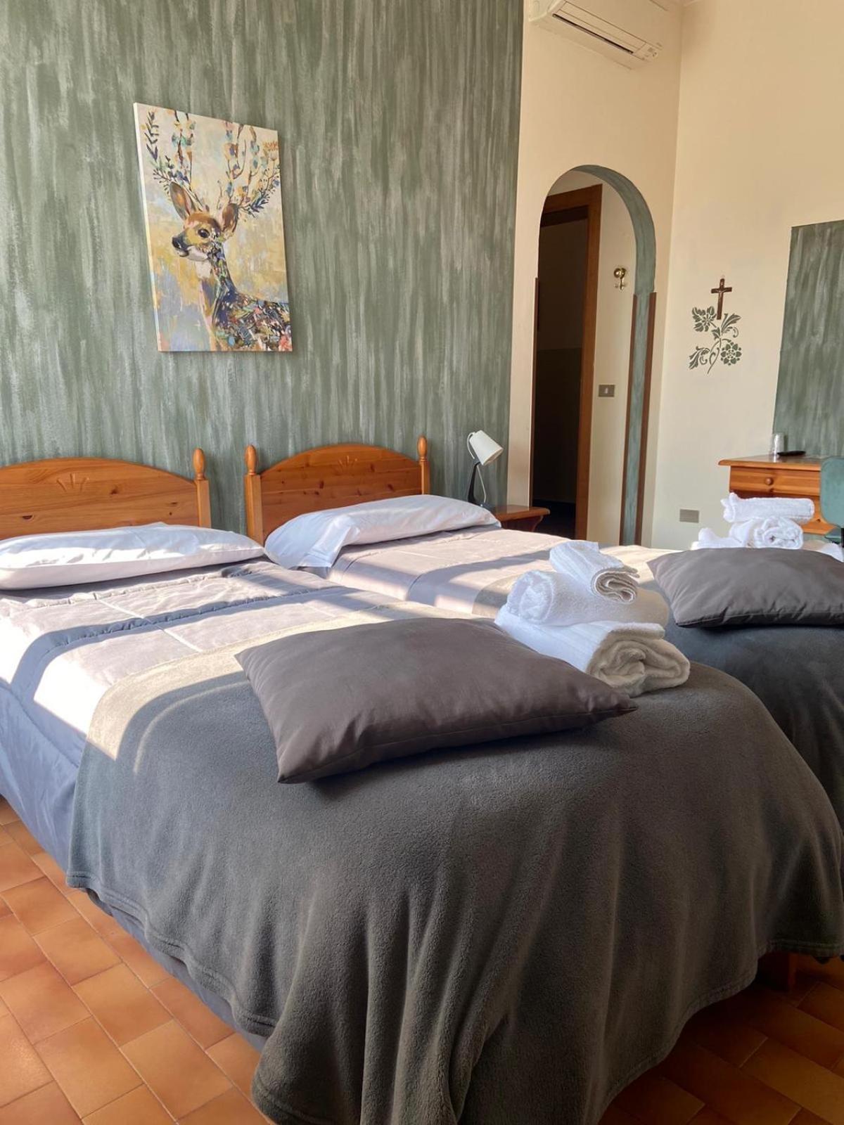Twin Room photo 2